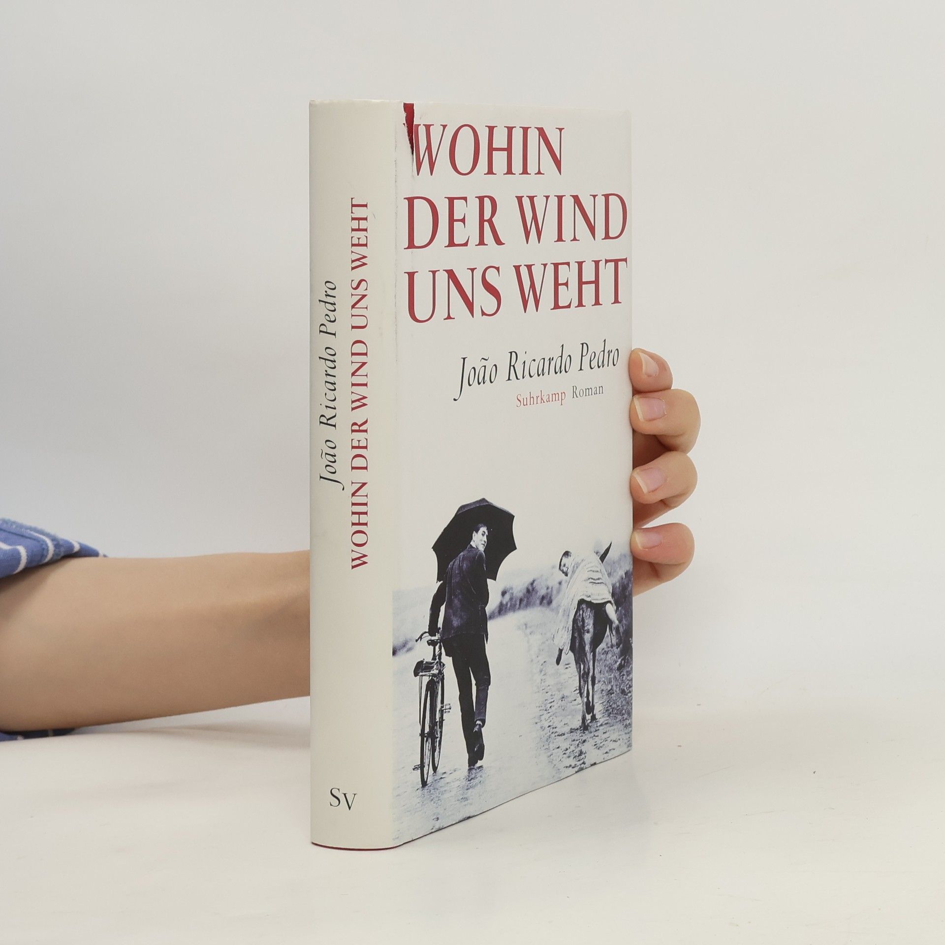 João Ricardo Pedro Wohin der Wind uns weht