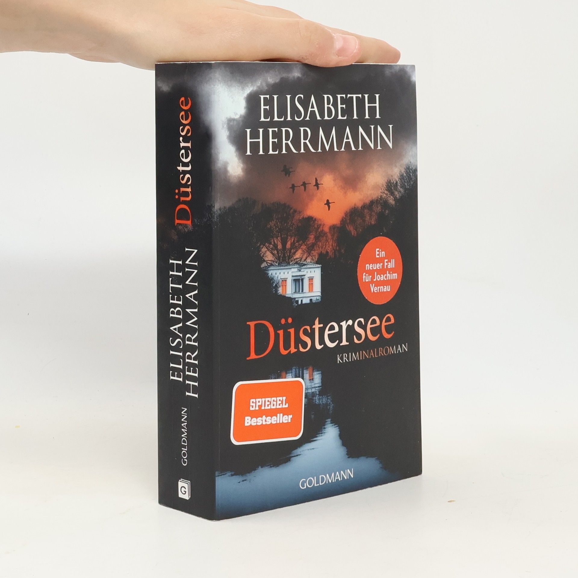 Düstersee