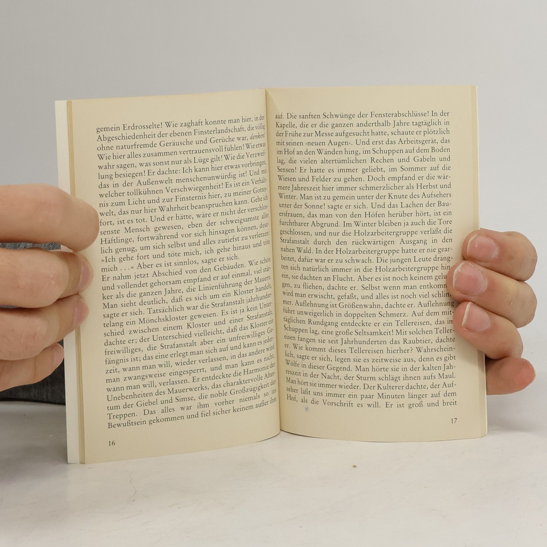 Thomas Bernhard An der Baumgrenze