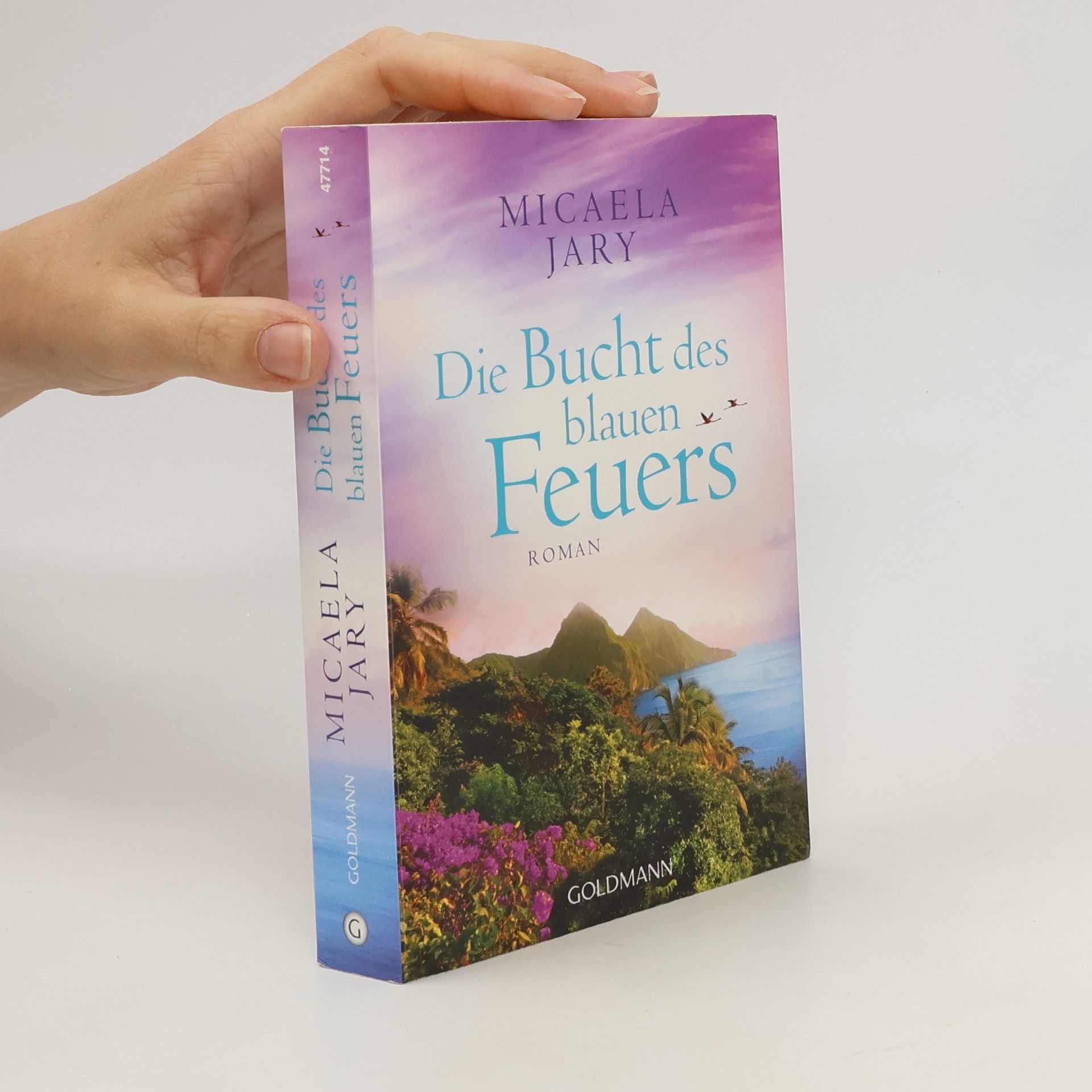 Micaela Jary Die Bucht des blauen Feuers