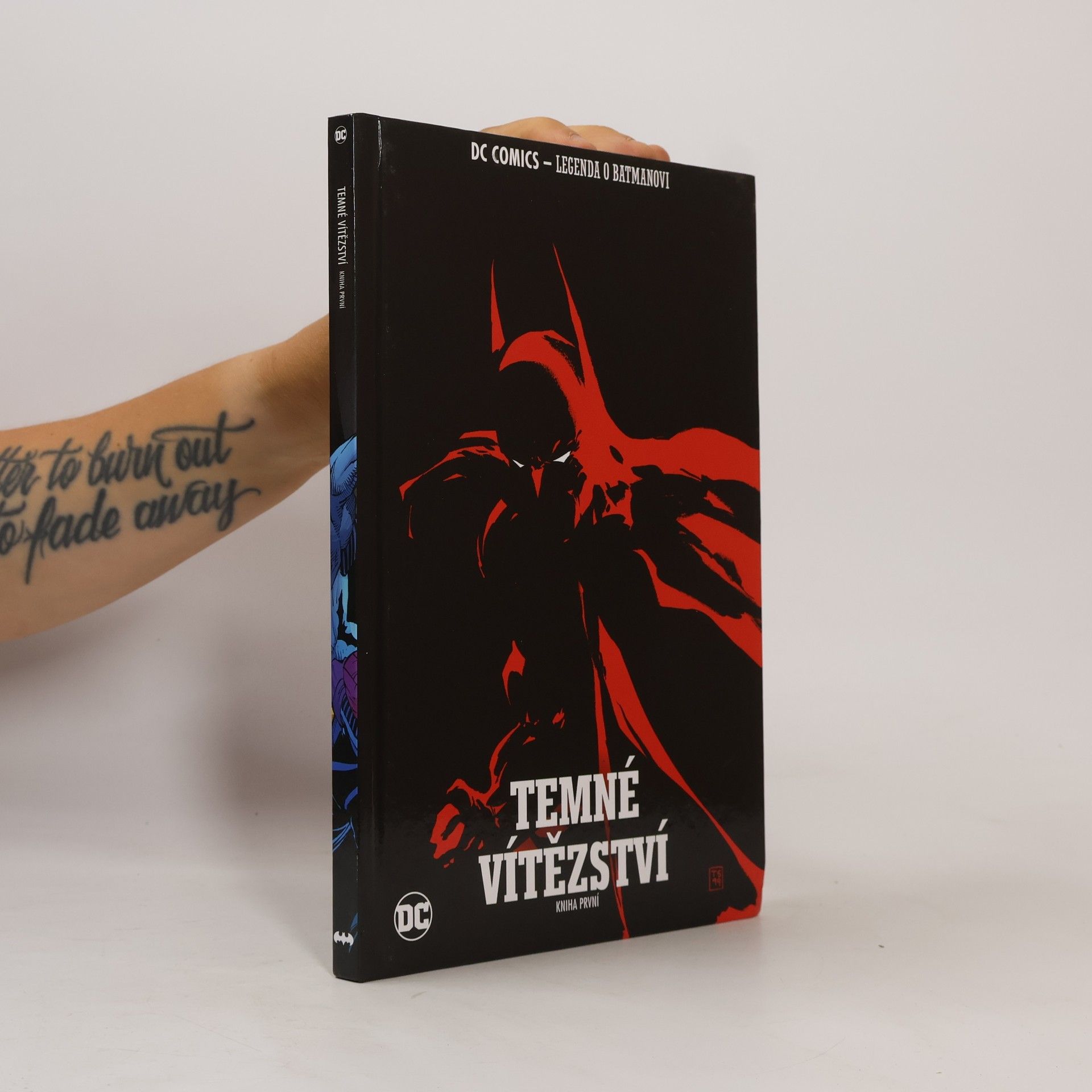 Tim Sale Jeph Loeb Batman: Temné vítězství. Kniha první