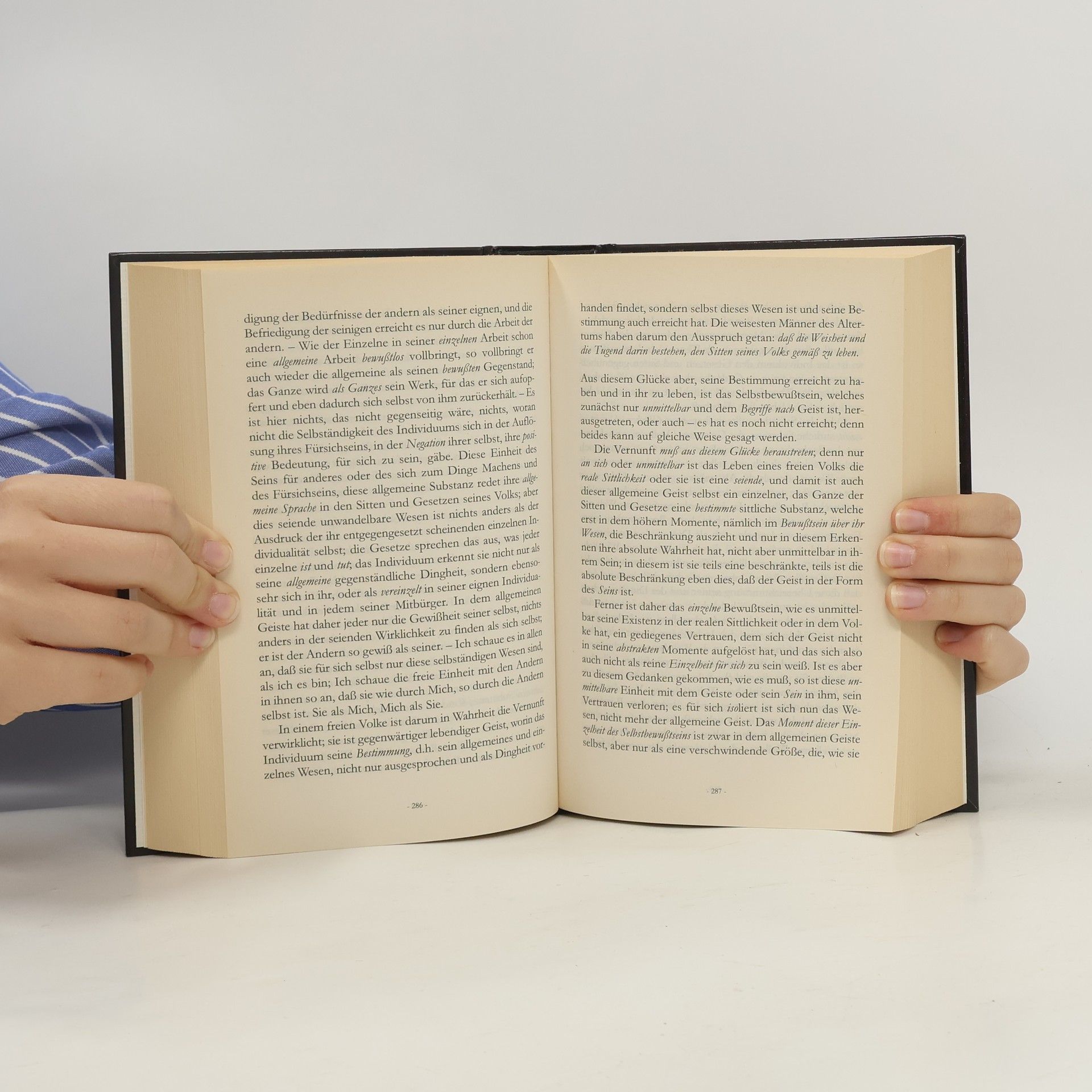 Georg Wilhelm Friedrich Hegel Phänomenologie des Geistes