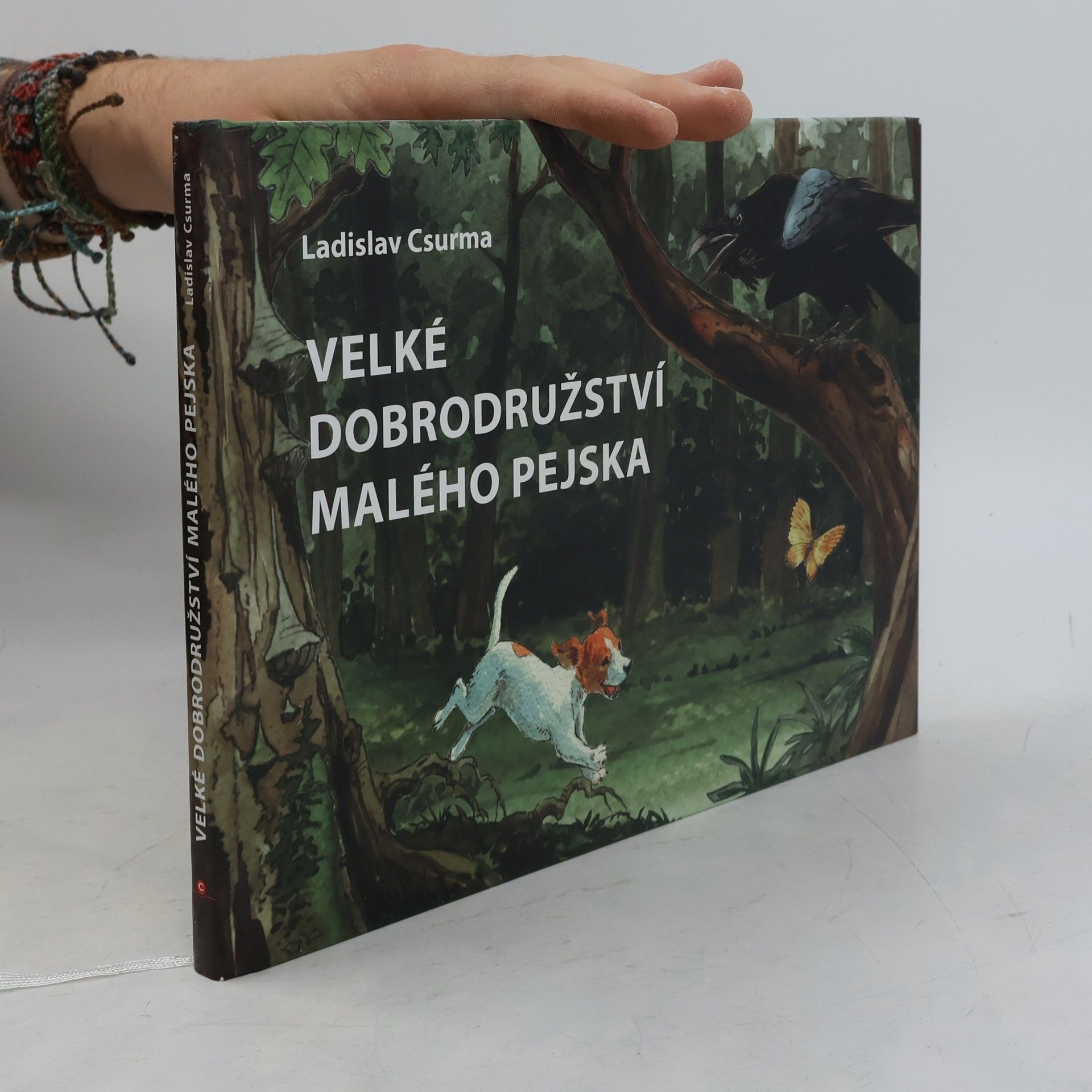 Ladislav Csurma Velké dobrodružství malého pejska
