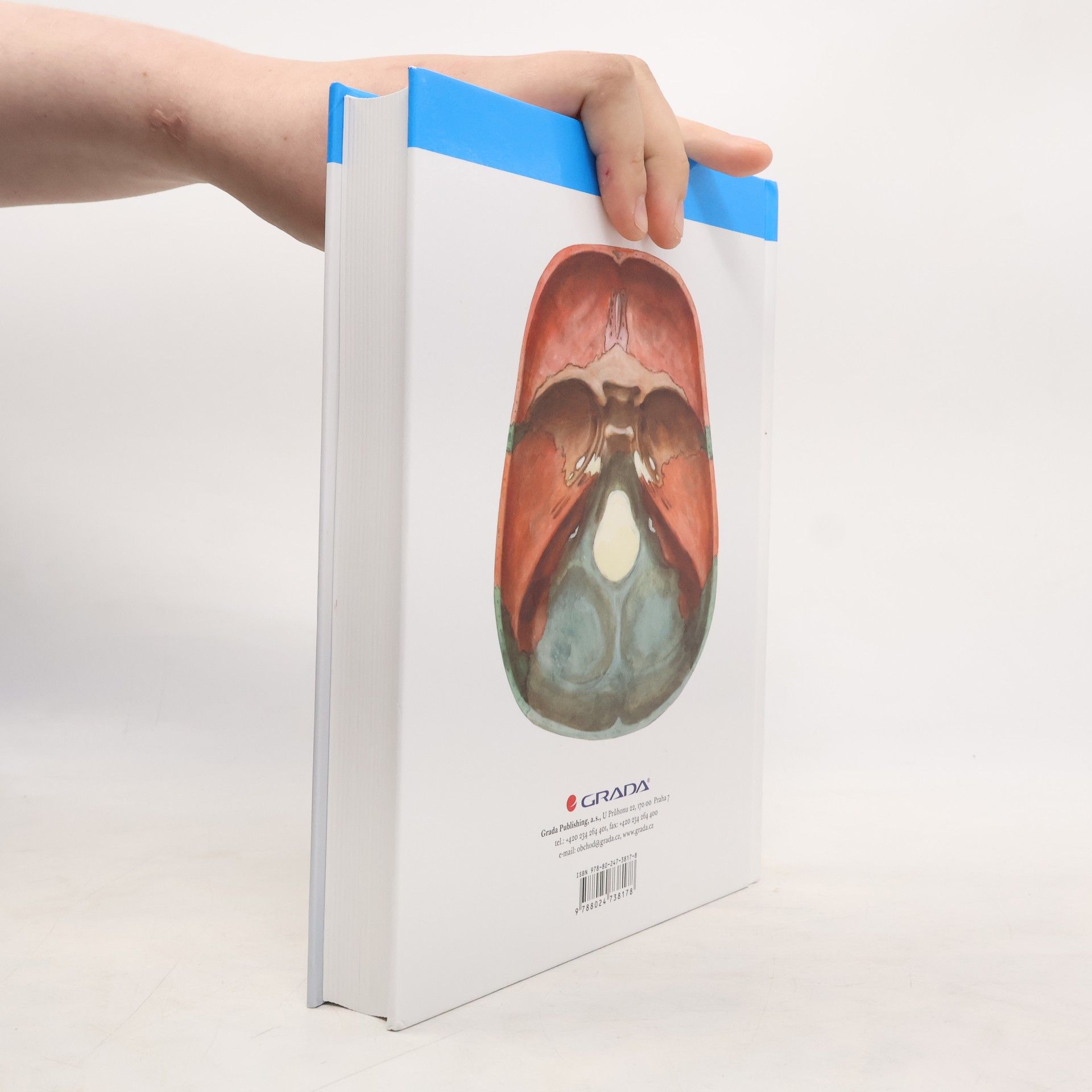 Oldřich Fejfar Anatomie 1