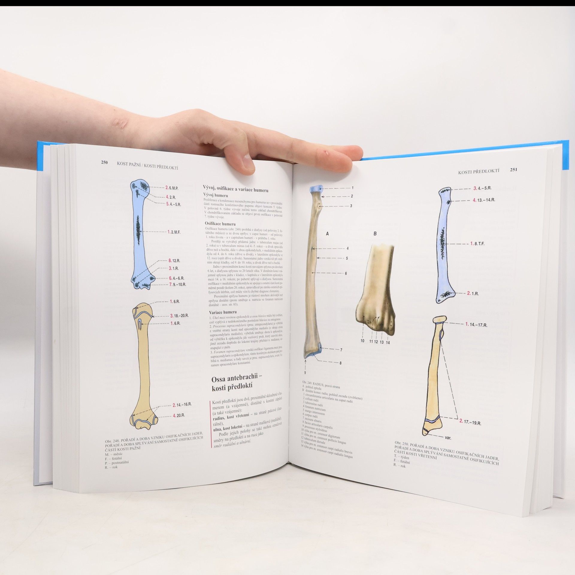 Oldřich Fejfar Anatomie 1