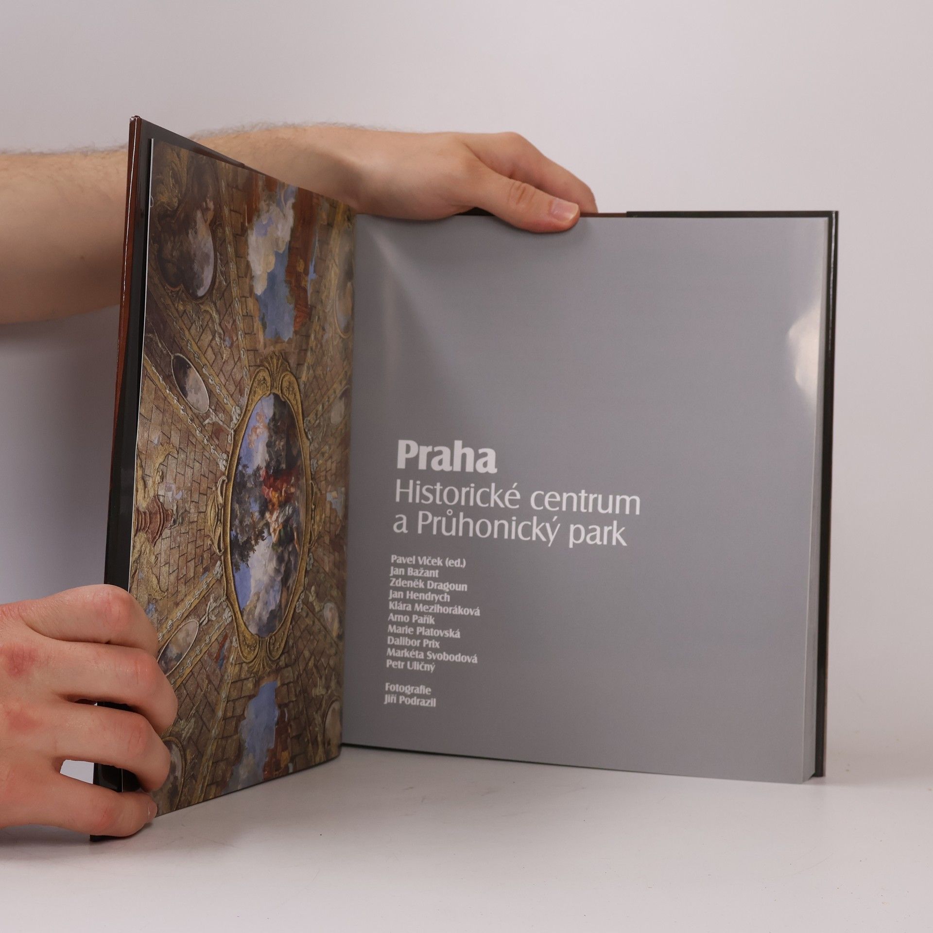 Marie Platovská Praha: historické centrum a Průhonický park