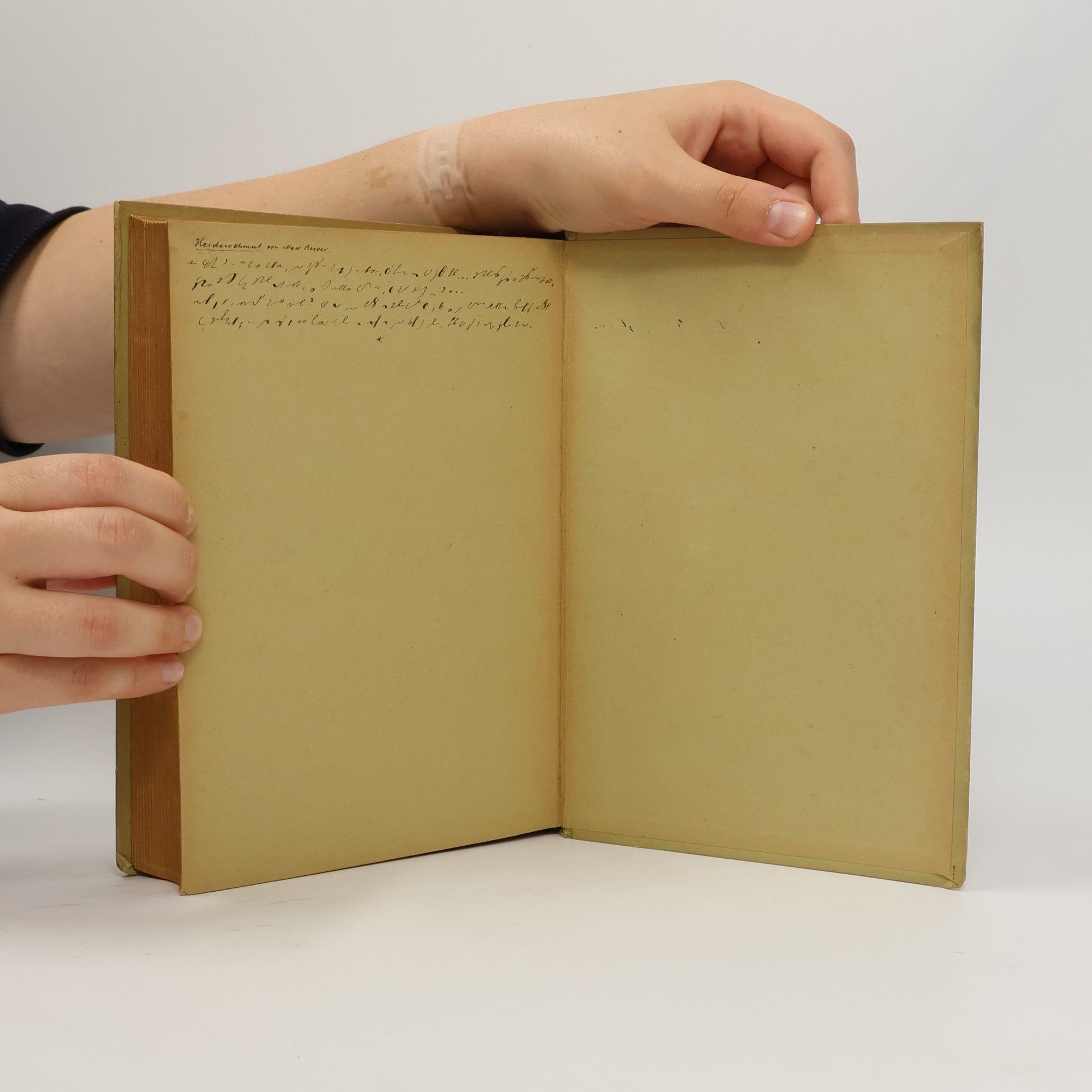Konrad Guenther Der Darwinismus und die Probleme des Lebens