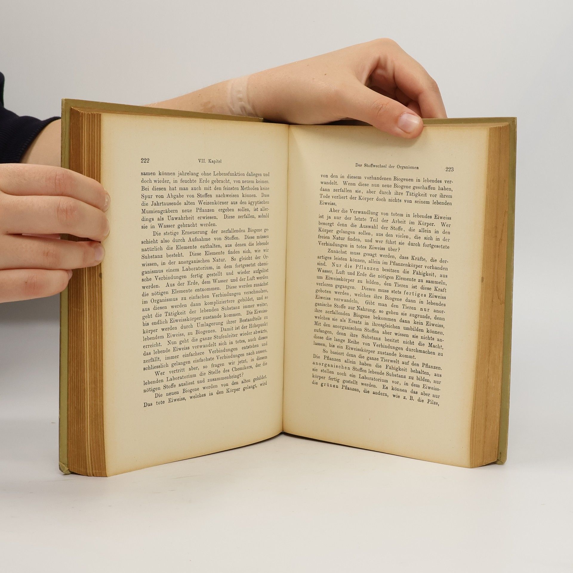 Konrad Guenther Der Darwinismus und die Probleme des Lebens
