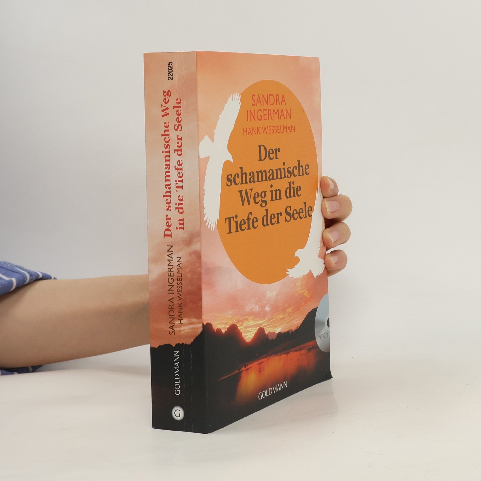 Andrea Panster Der schamanische Weg in die Tiefe der Seele