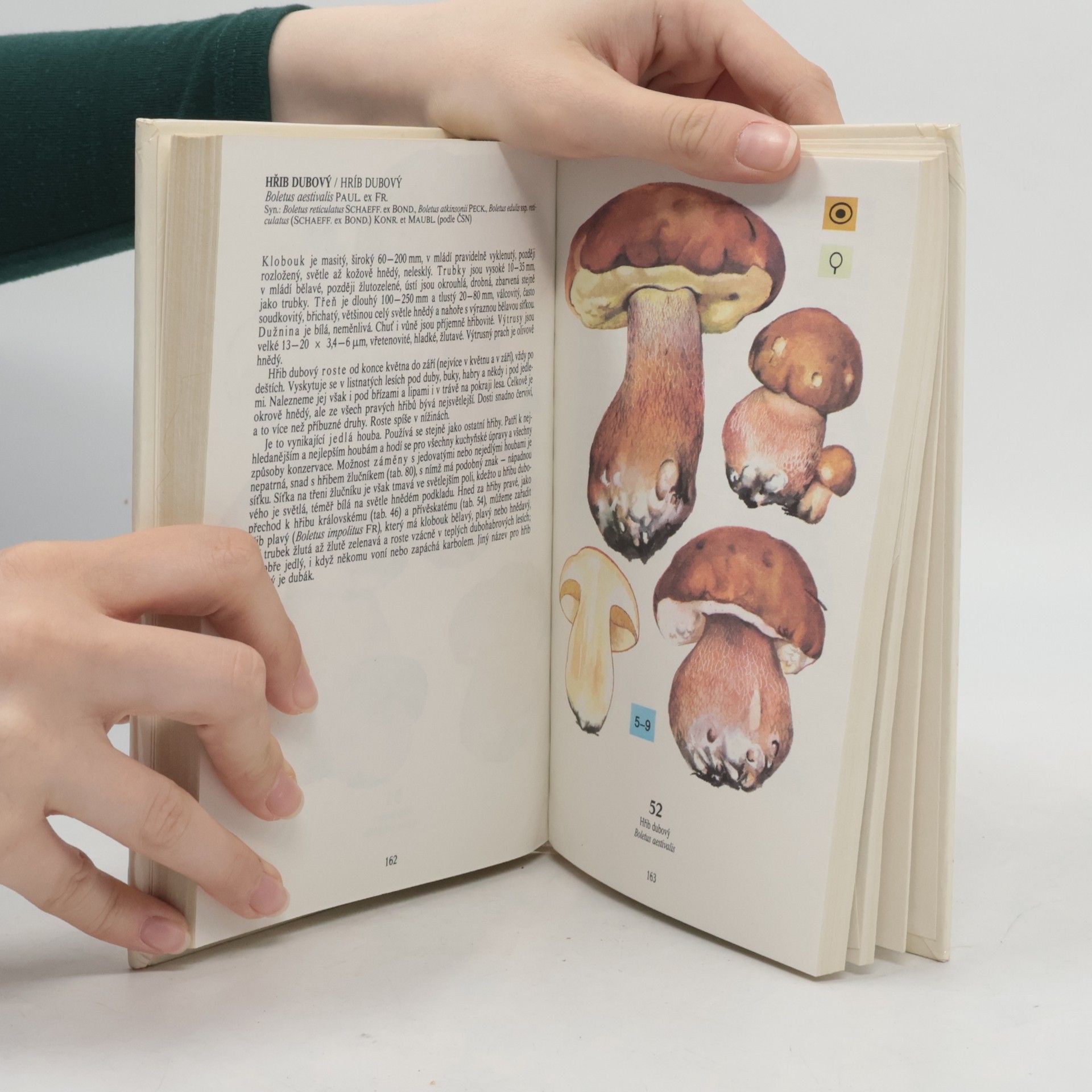 Jiří Malý Atlas tržních a jedovatých hub