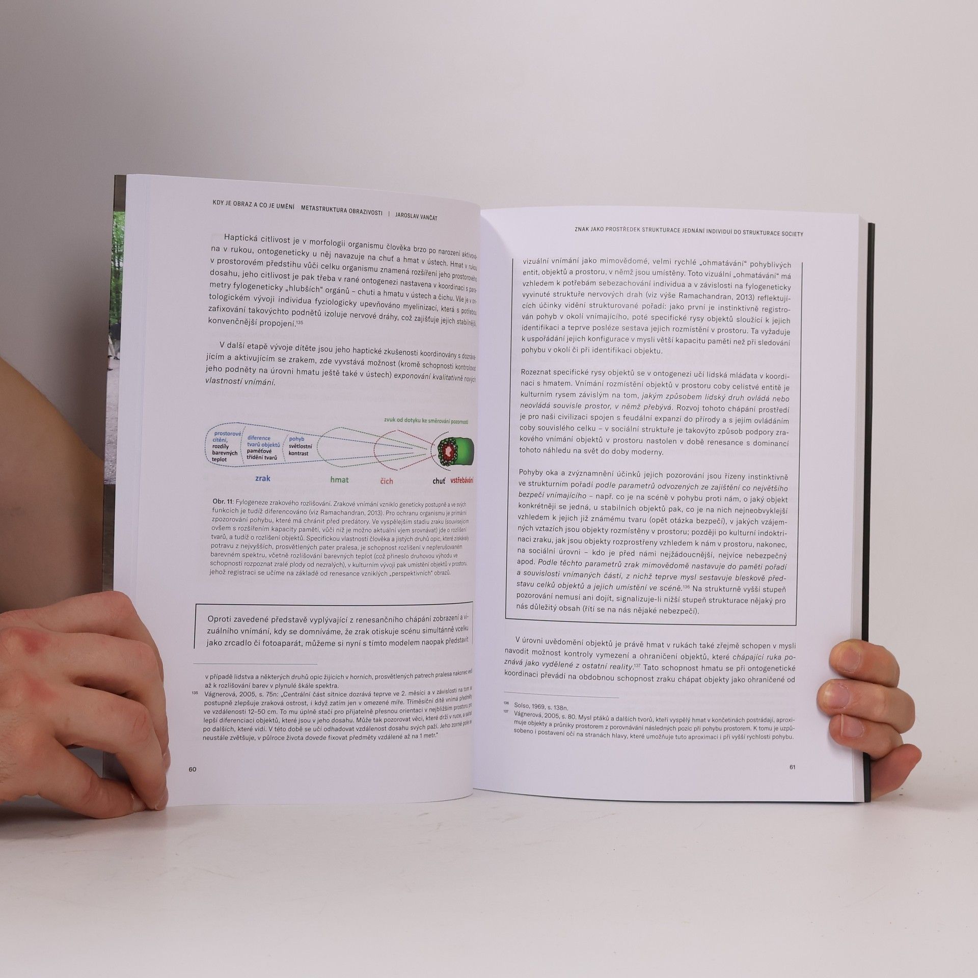 Jaroslav Vančát Kdy je obraz a co je umění. Metastruktura obrazivosti