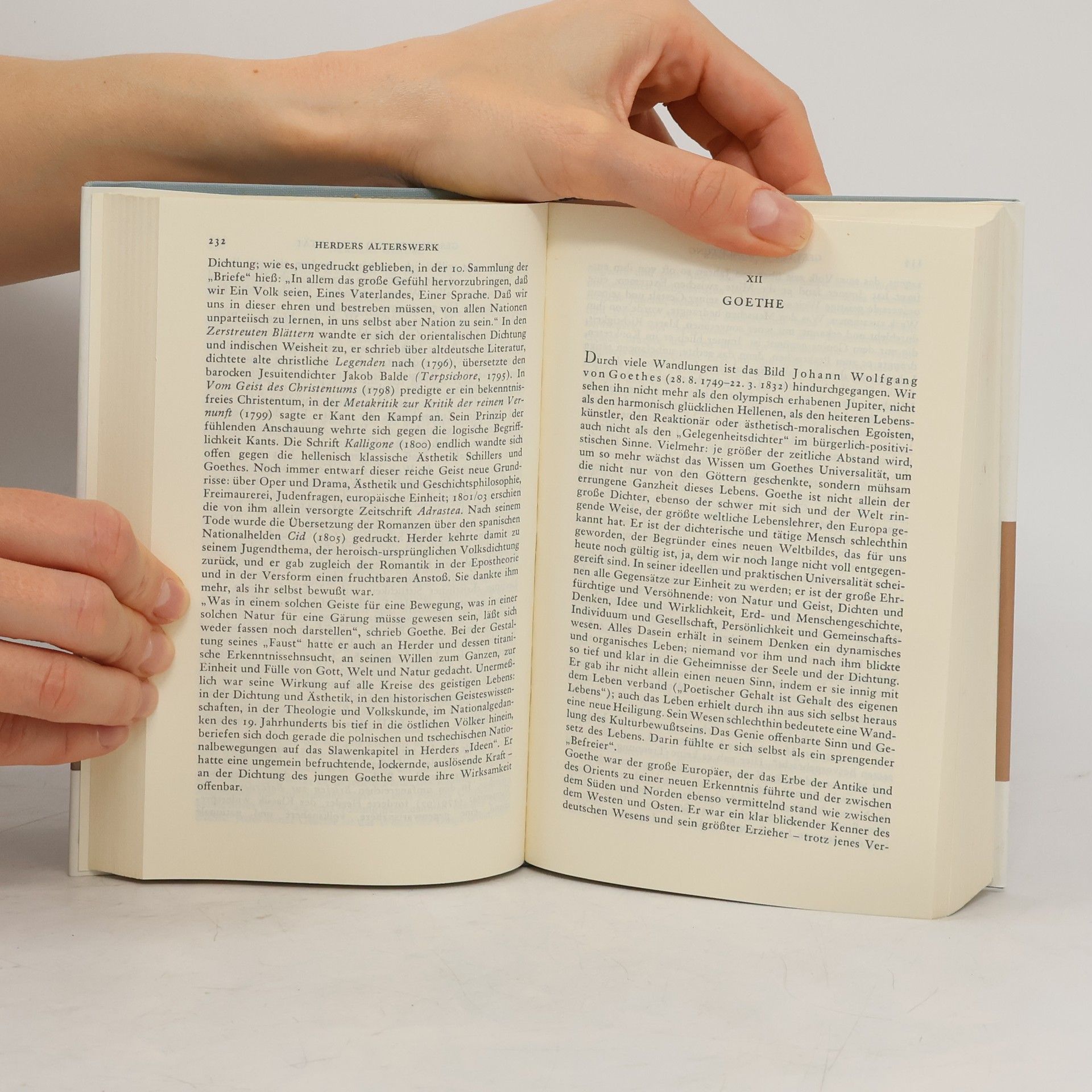 Fritz Martini Deutsche Literaturgeschichte