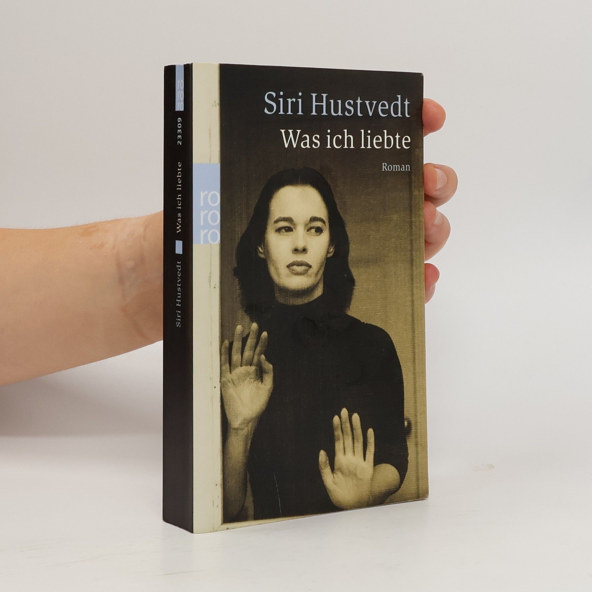 Siri Hustvedt Was ich liebte