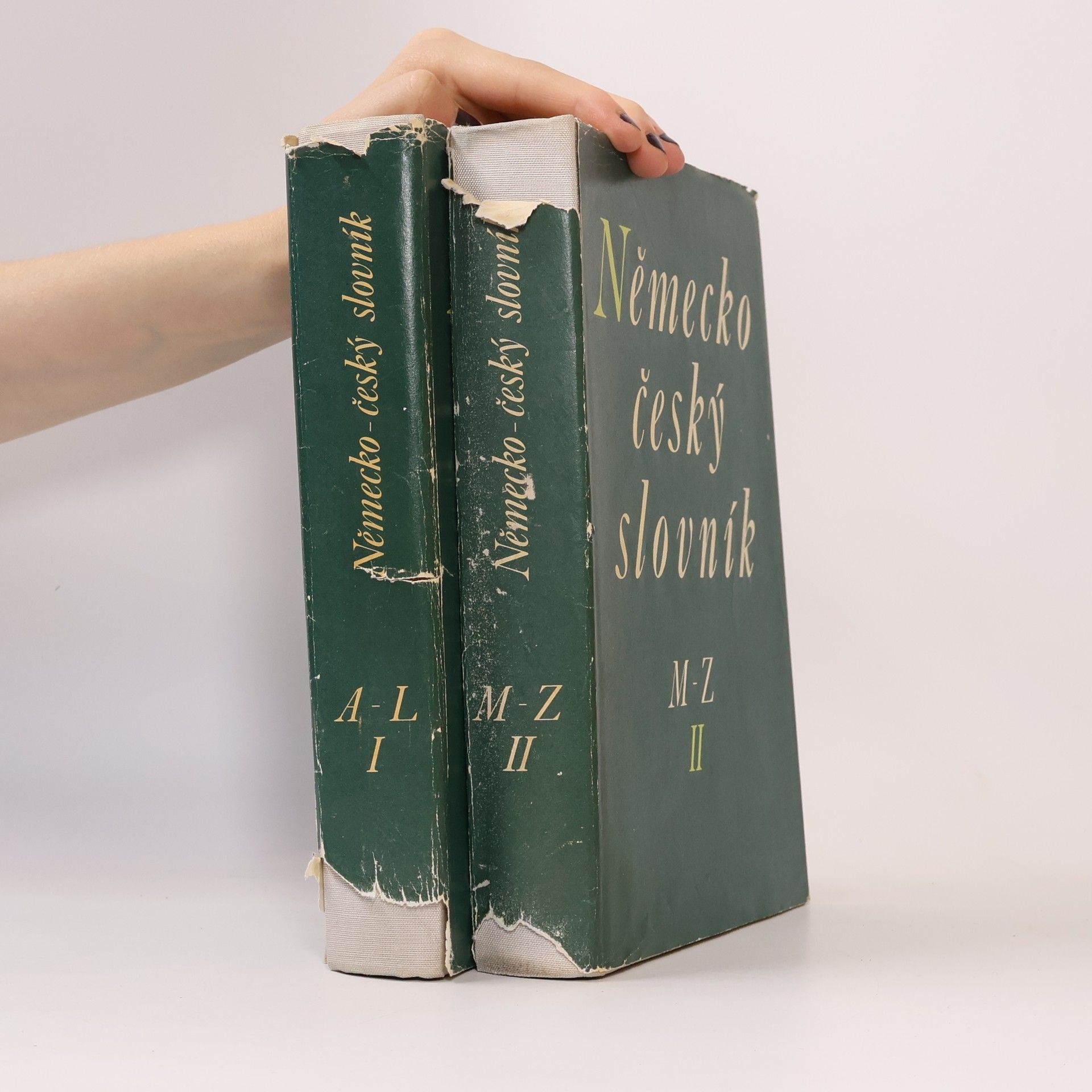 Kolektiv autorů Německo český slovník A-Z, 2 díly