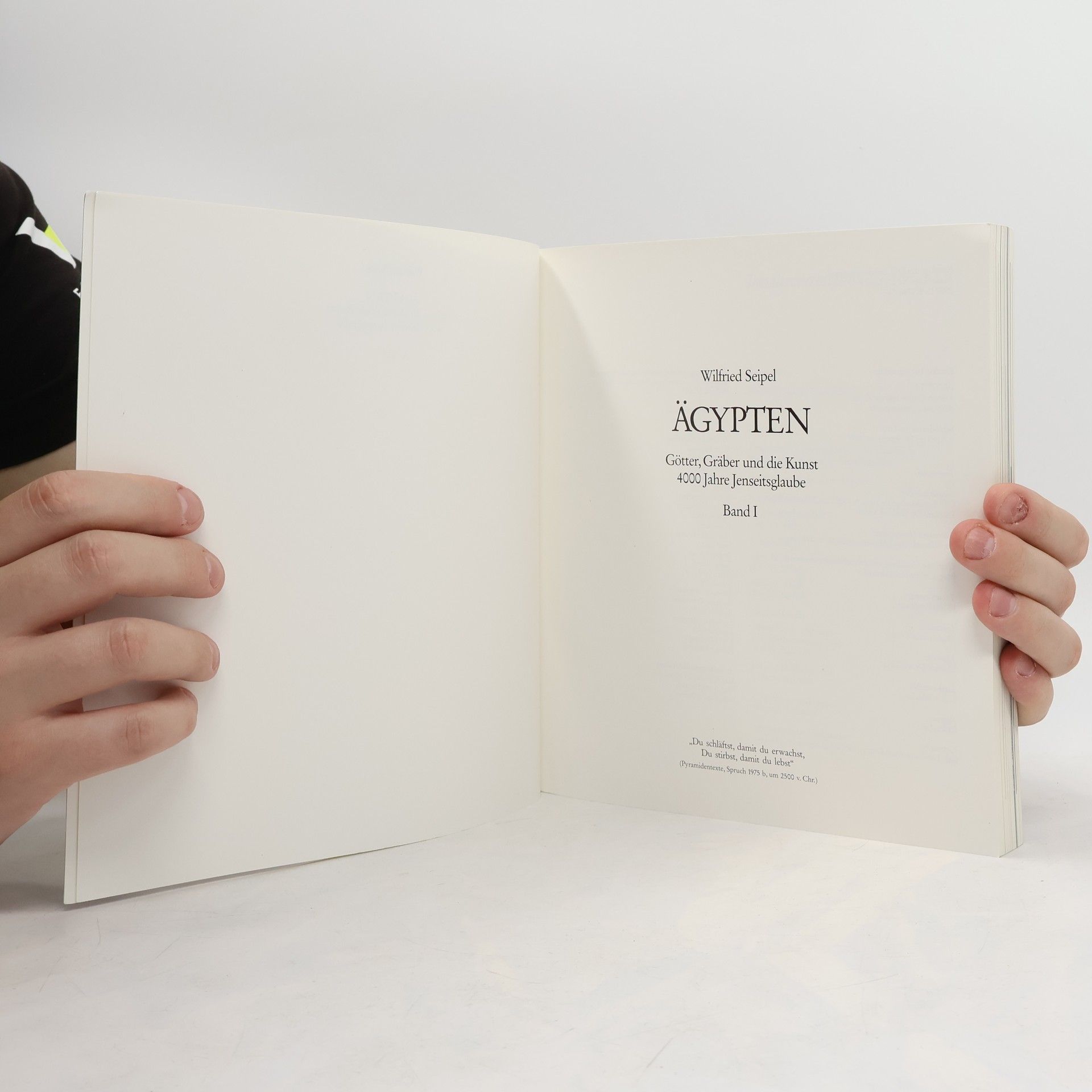 Wilfried Seipel Ägypten. Götter, Gräber und die Kunst