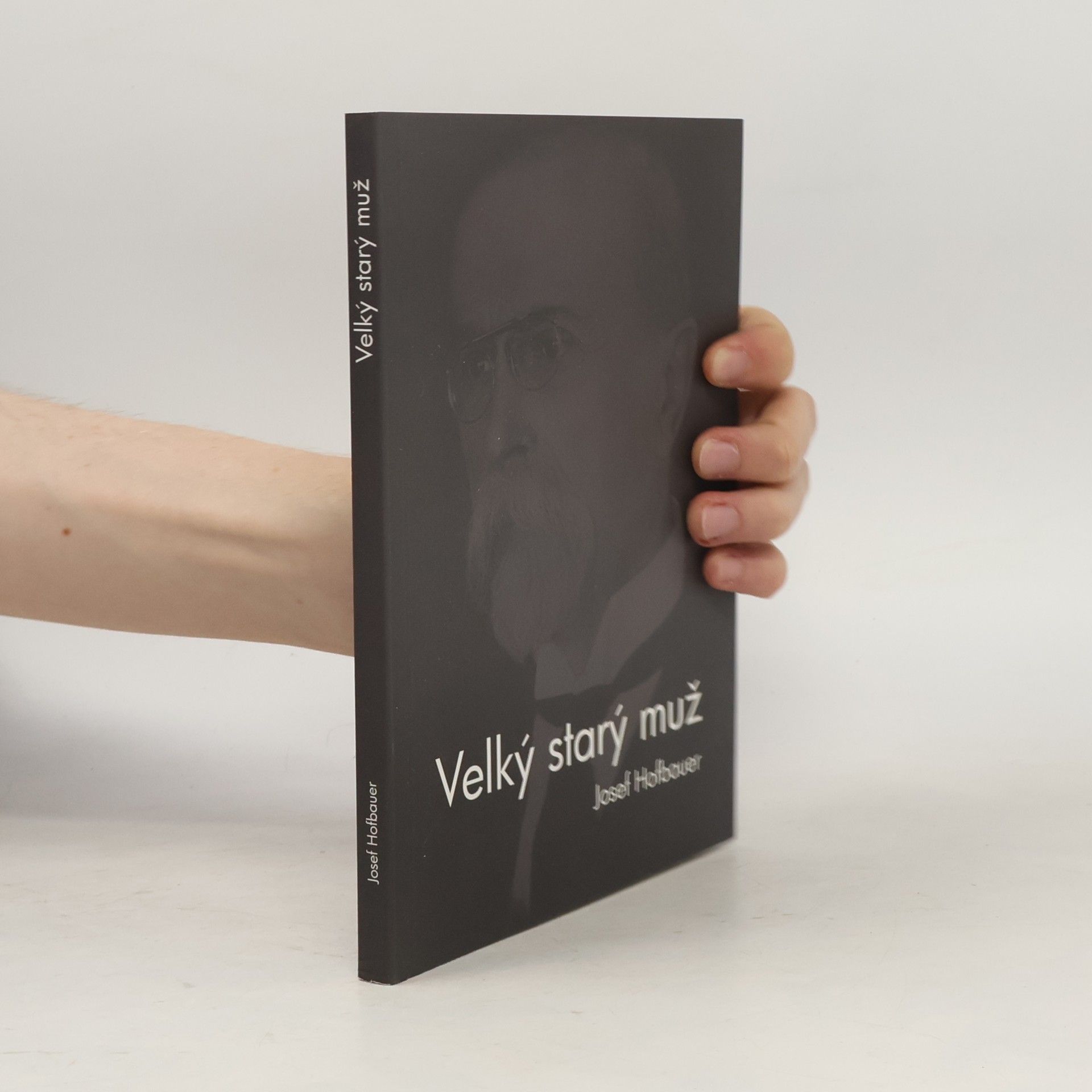 Josef Hofbauer Velký starý muž: Kniha o Masarykovi