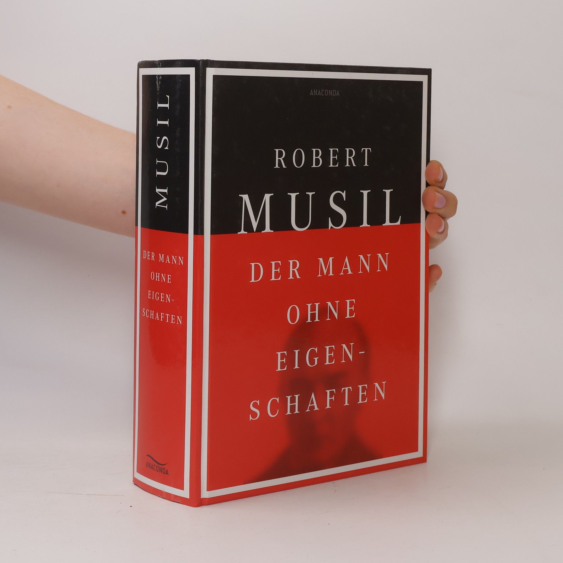 Robert Musil Der Mann ohne Eigenschaften