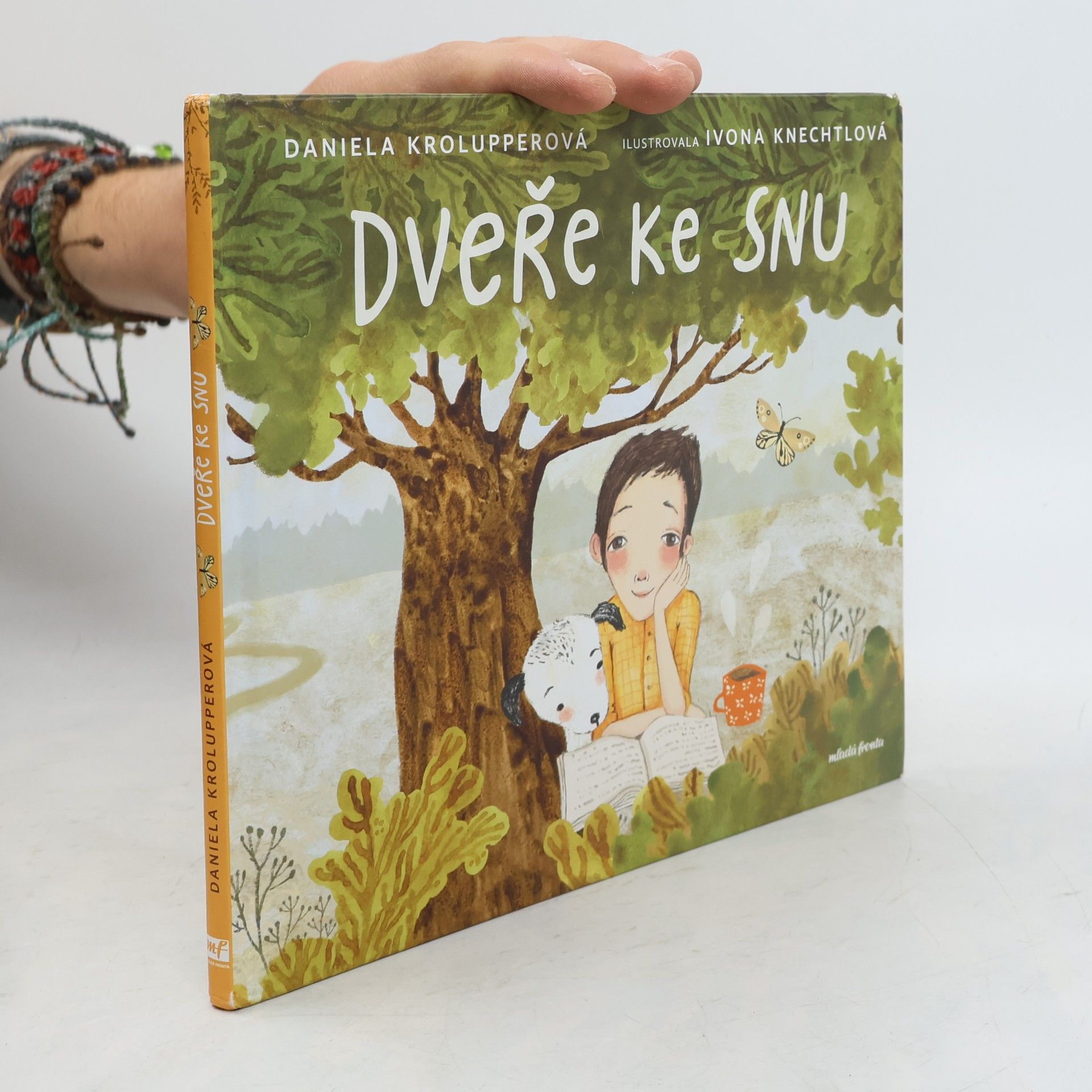 Daniela Krolupperová Dveře ke snu