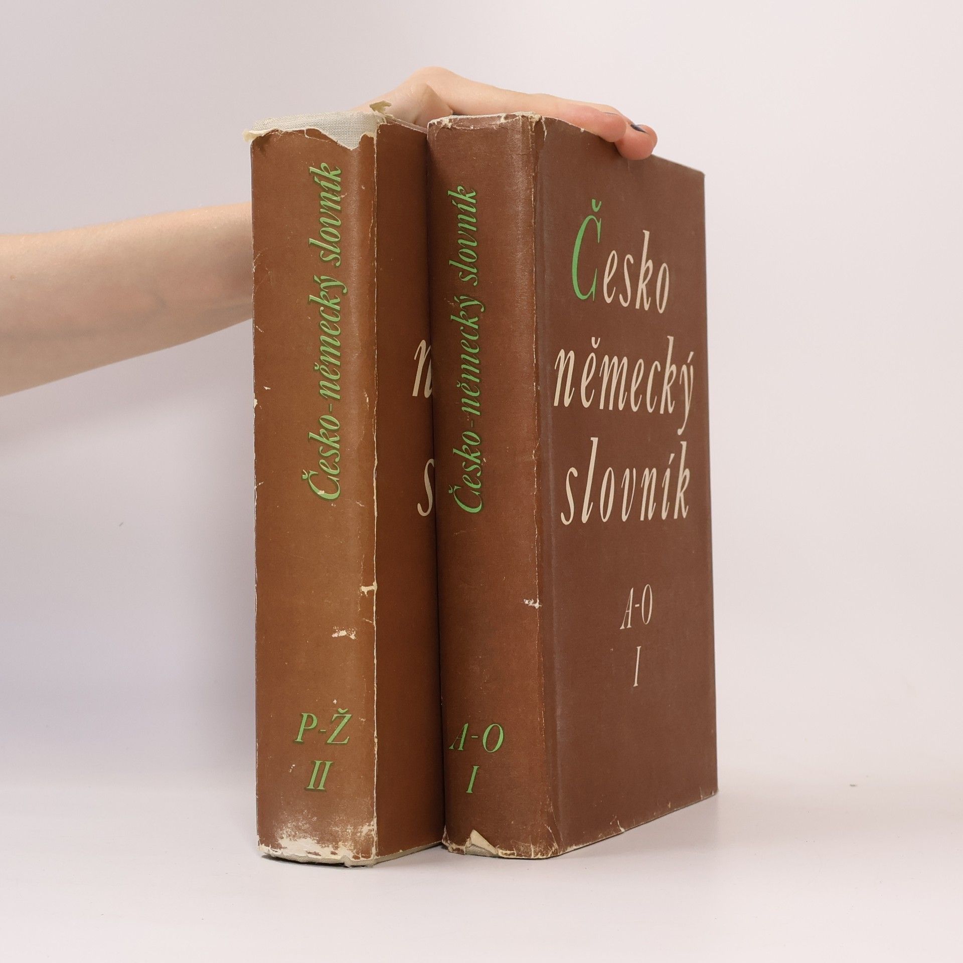 Autorenkollektiv Česko-německý slovník I.-II.