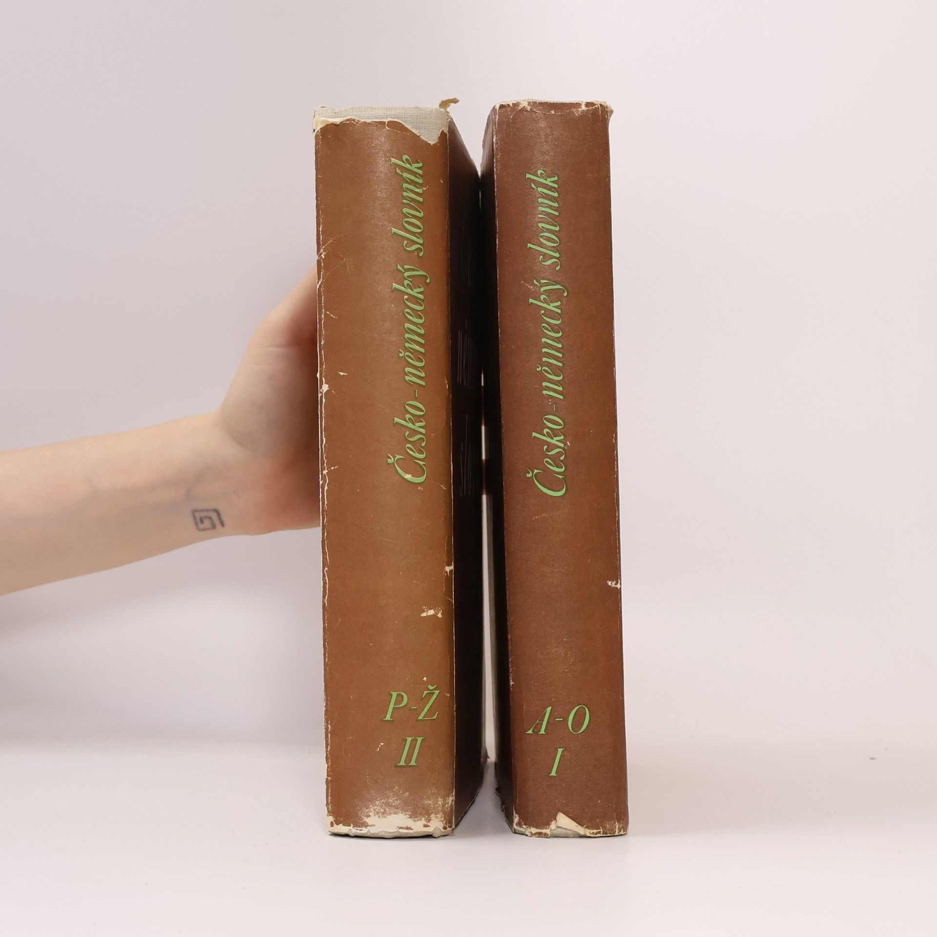 Autorenkollektiv Česko-německý slovník I.-II.