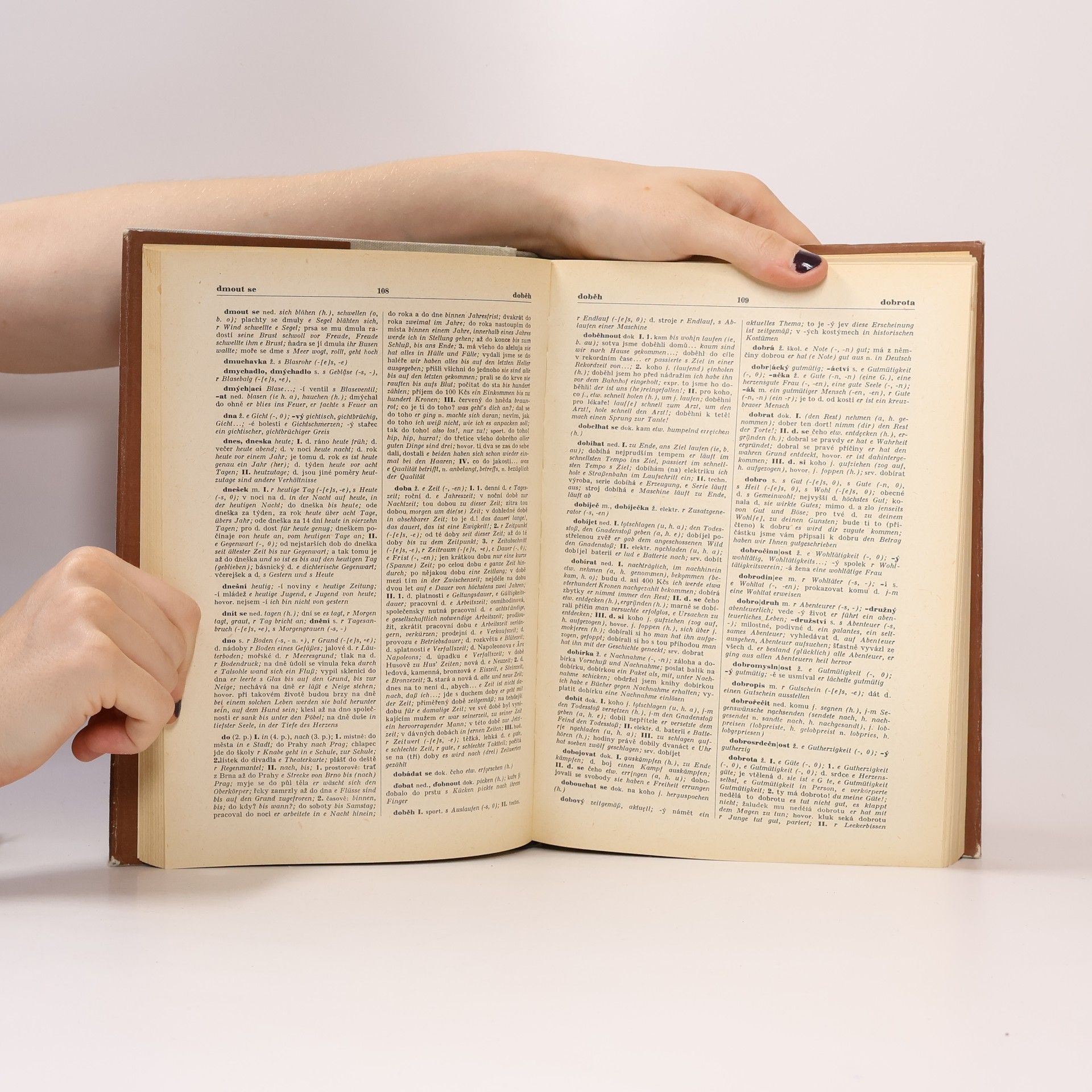 Autorenkollektiv Česko-německý slovník I.-II.