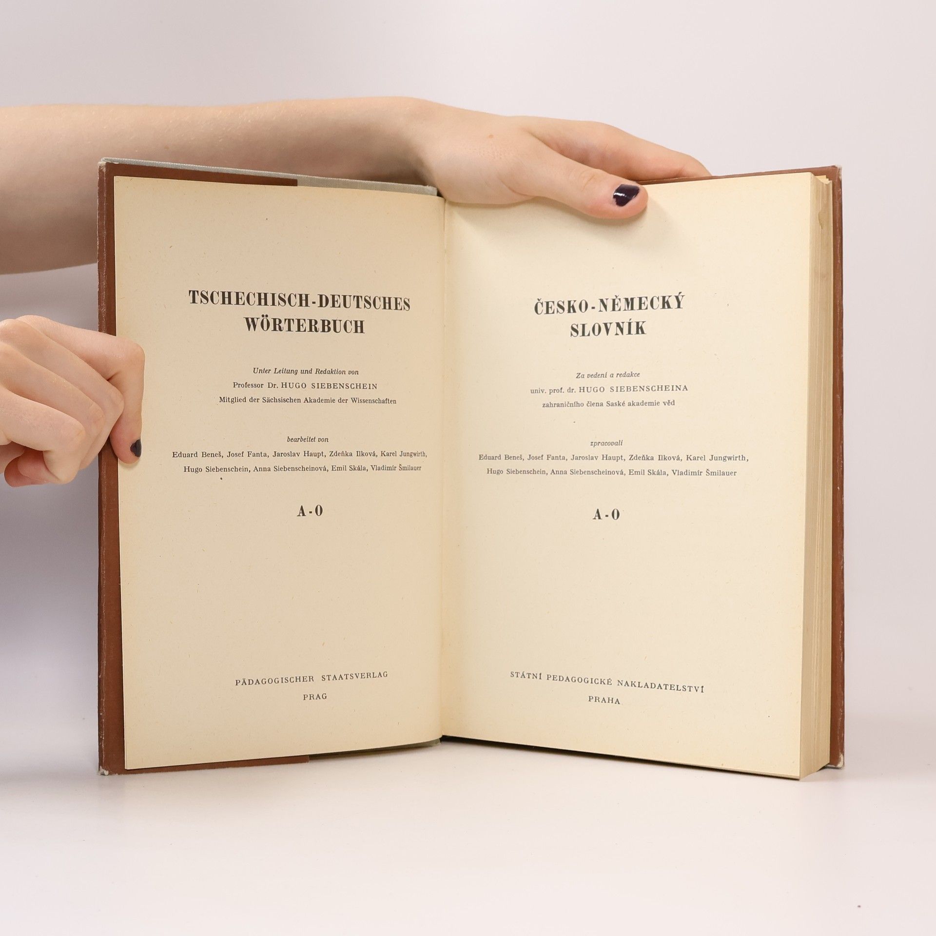 Autorenkollektiv Česko-německý slovník I.-II.