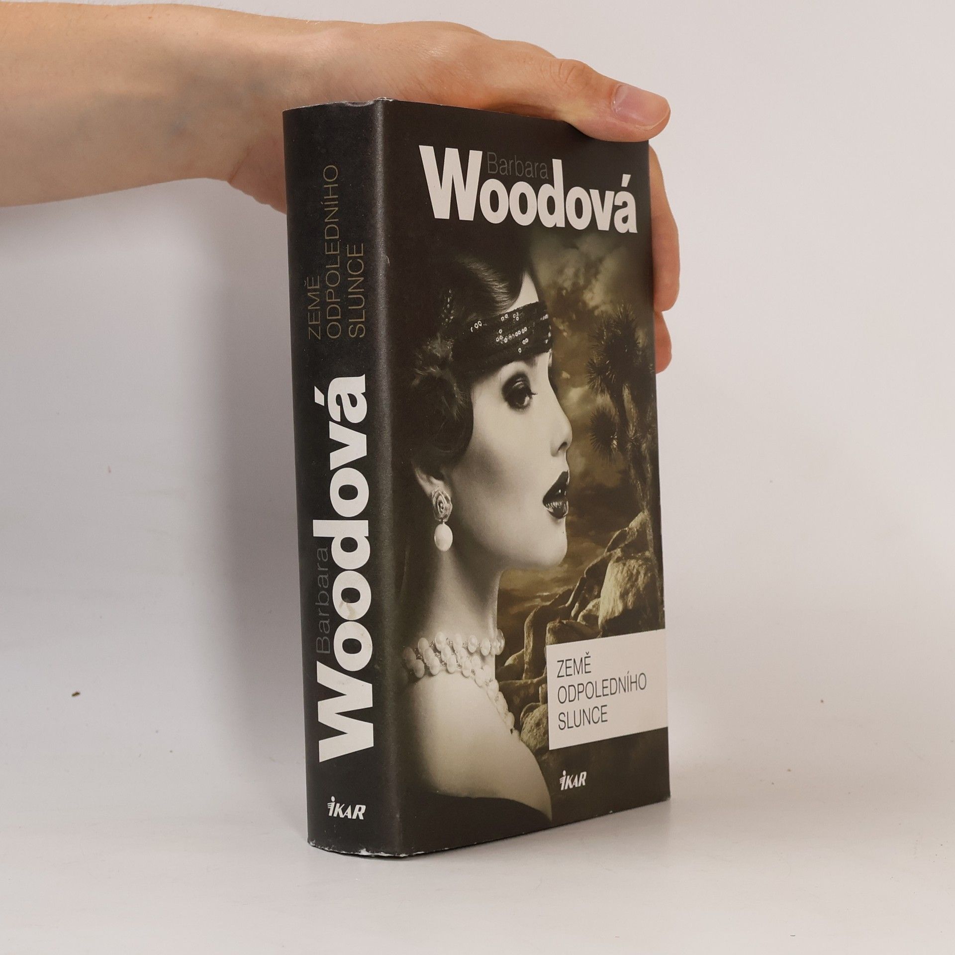 Barbara Wood Země odpoledního slunce
