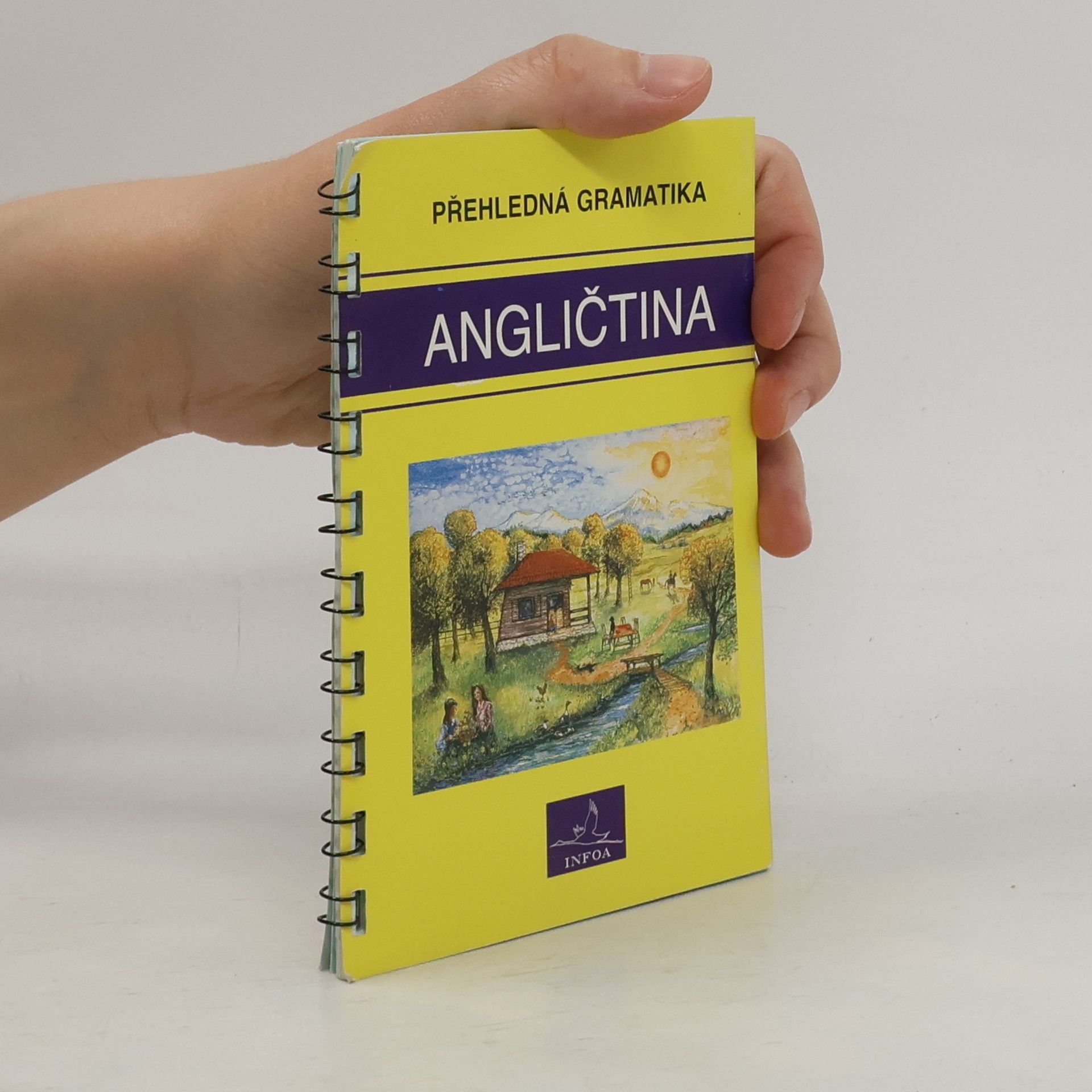 Gary Grabbe Angličtina. Přehledná gramatika