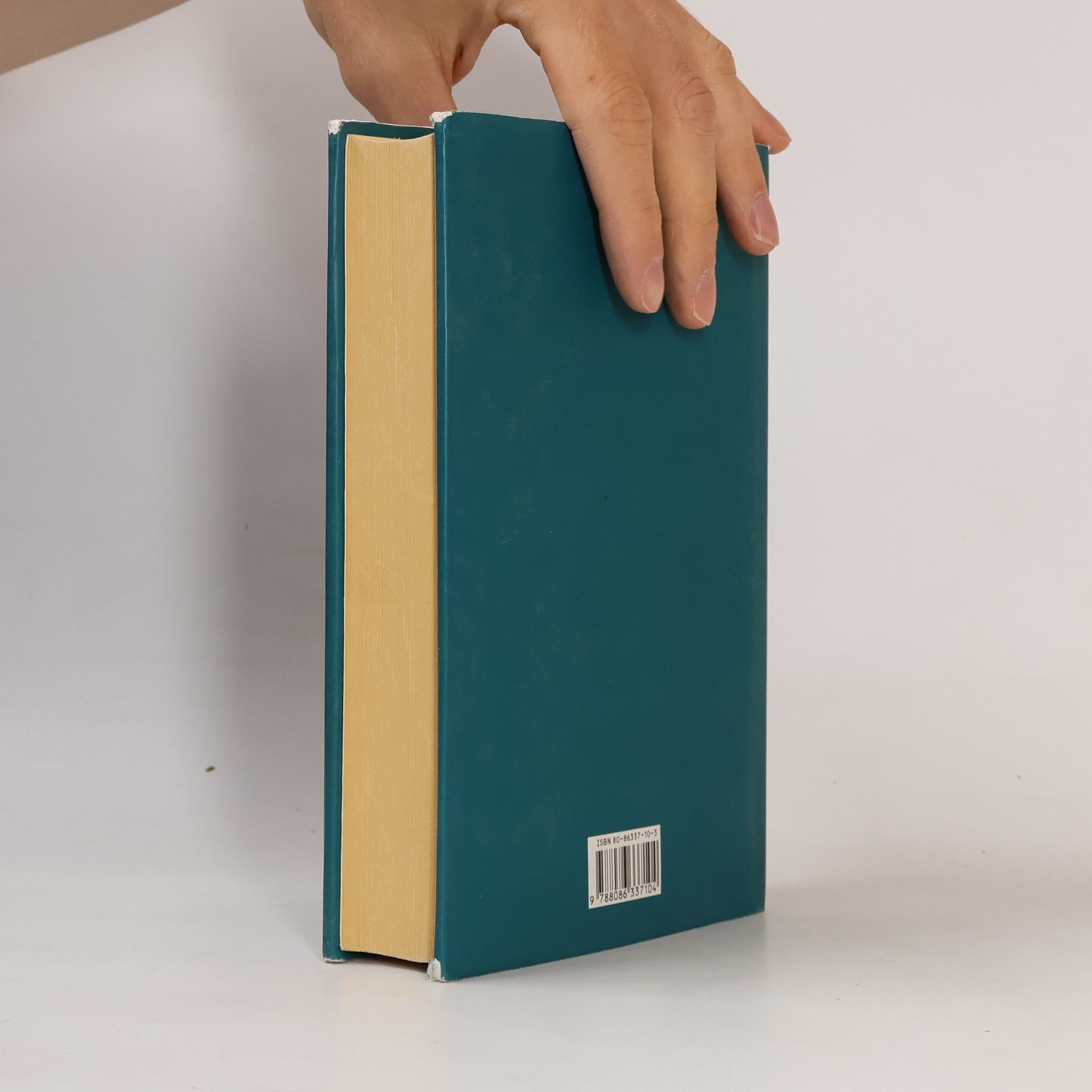 Maeve Binchy Šance pro lásku