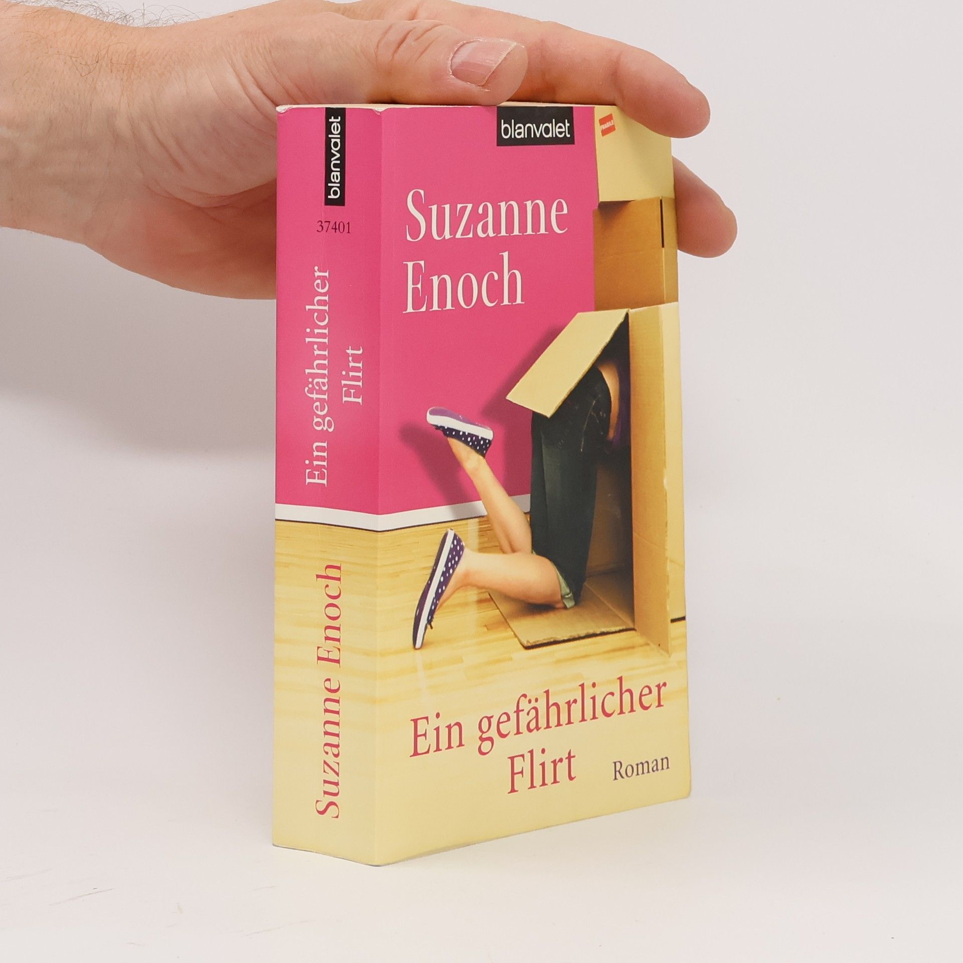 Elisabeth Feitl-Schönleitner Ein gefährlicher Flirt. Roman