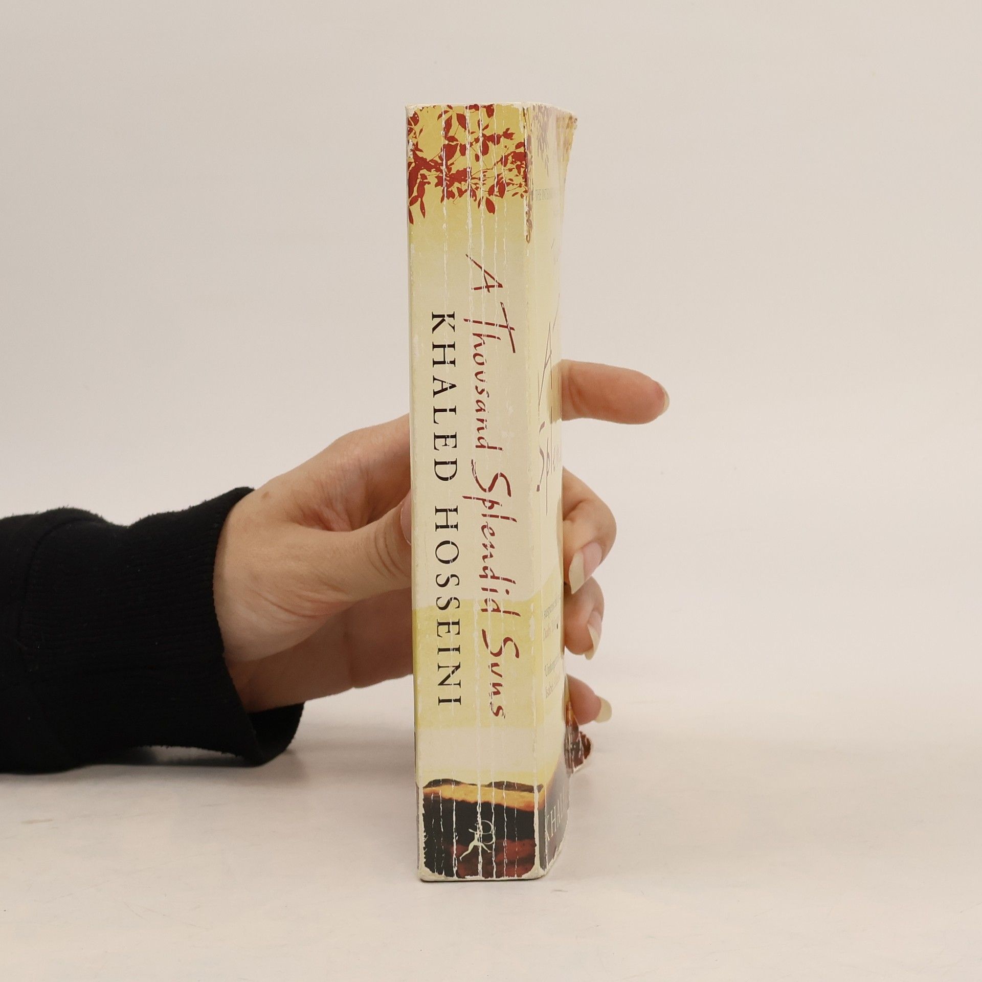 Khaled Hosseini A Thousand Splendid Suns