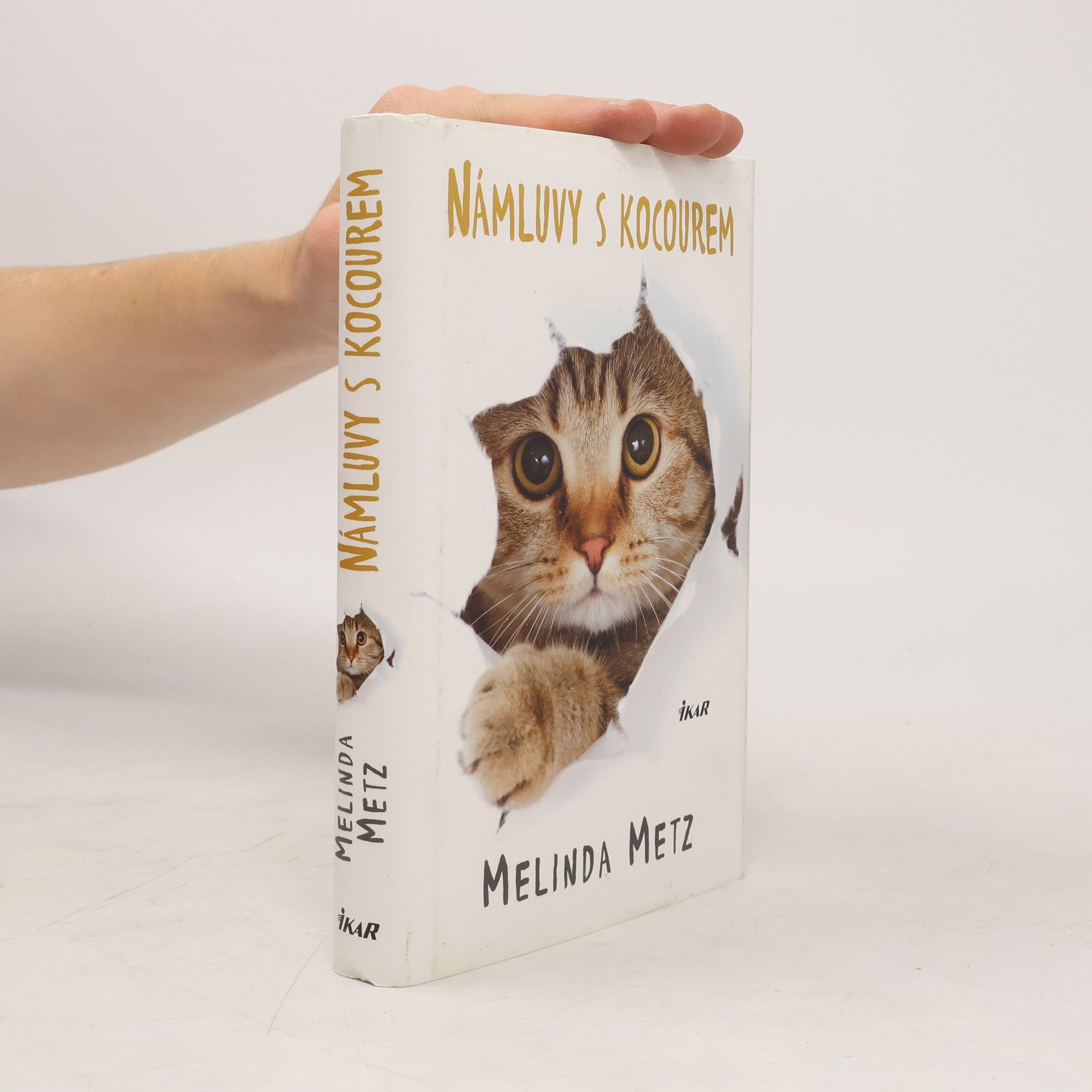 Melinda Metz Námluvy s kocourem
