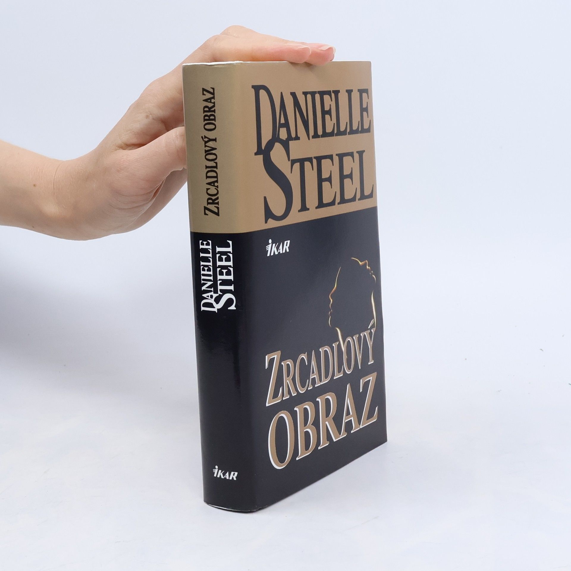 Danielle Steelová Zrcadlový obraz