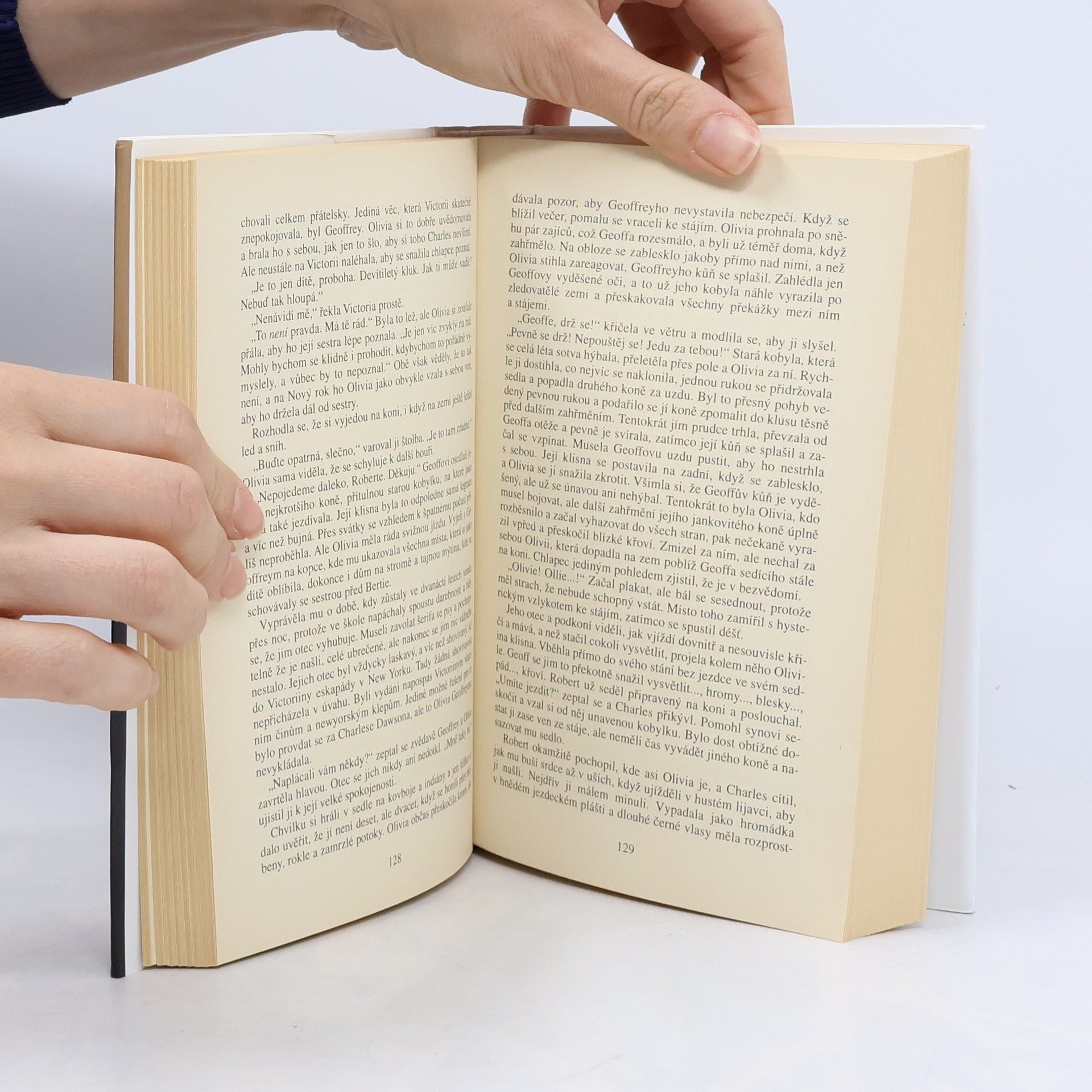 Danielle Steel Zrcadlový obraz