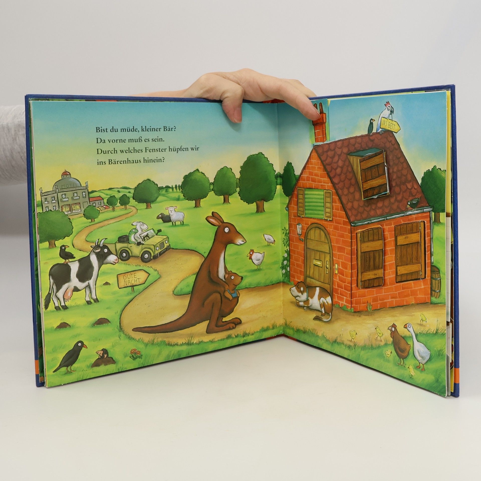 Axel Scheffler Wenn kleine Bären schlafen gehen