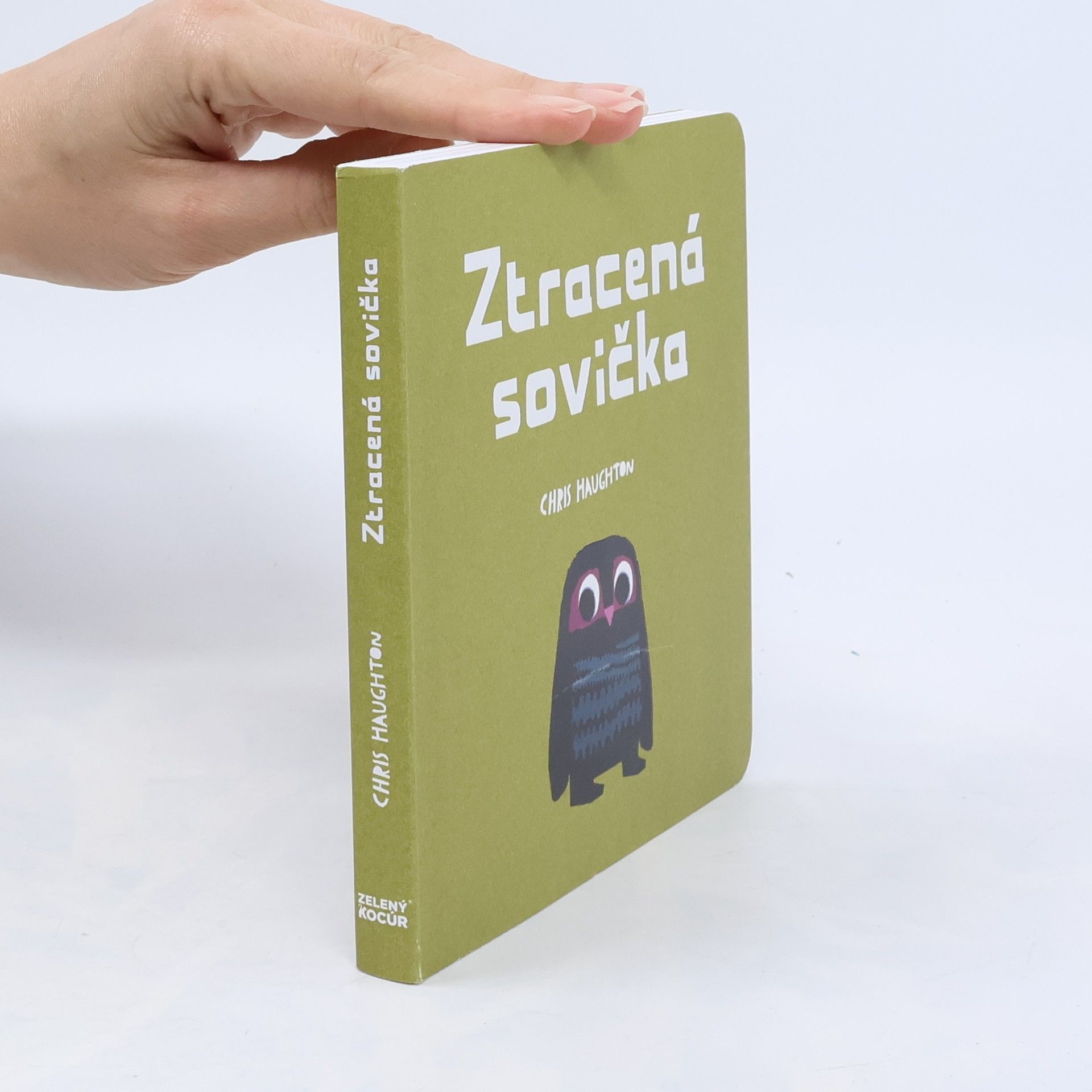 Chris Haughton Ztracená sovička