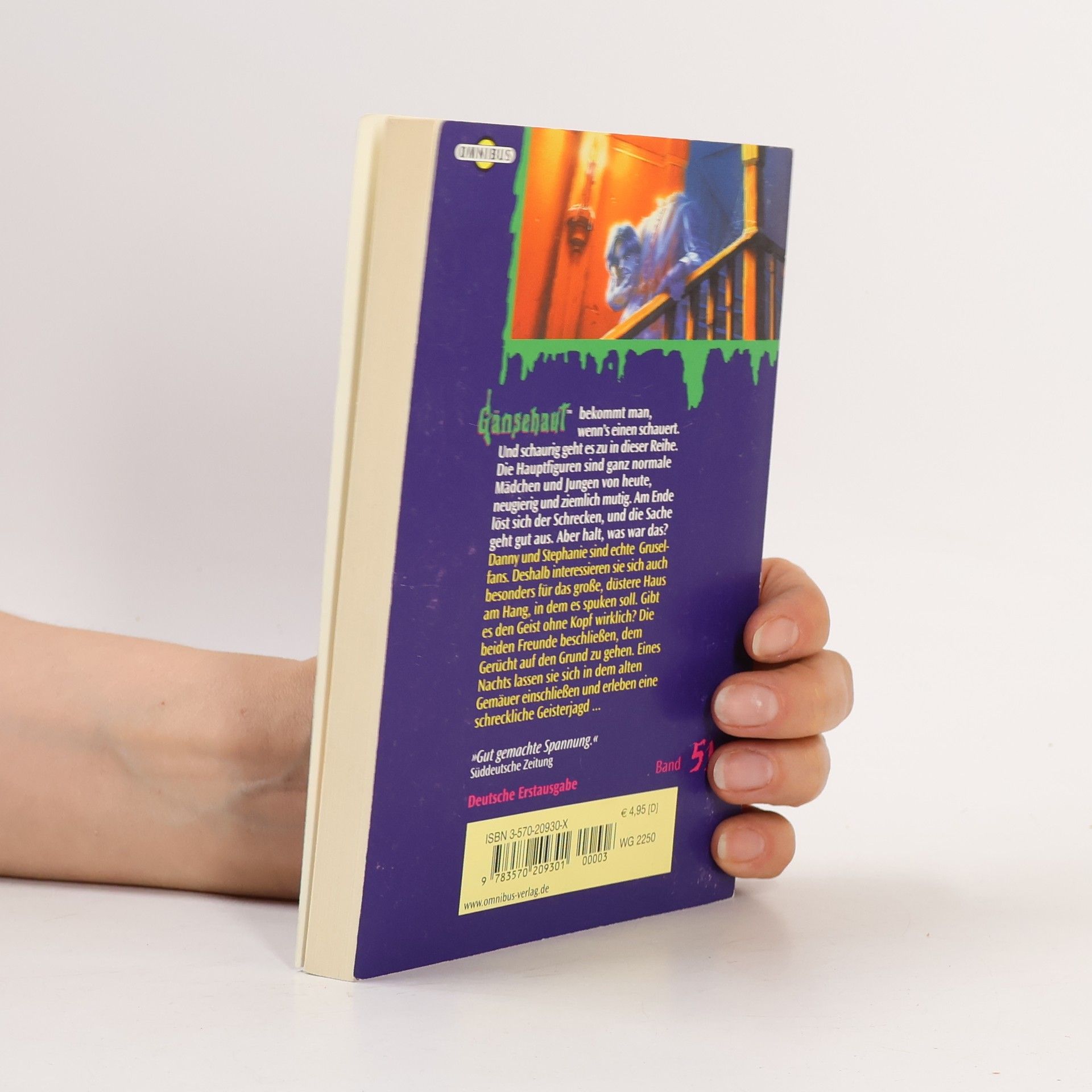R. L. Stine Gänsehaut 51. Der Geist ohne Kopf