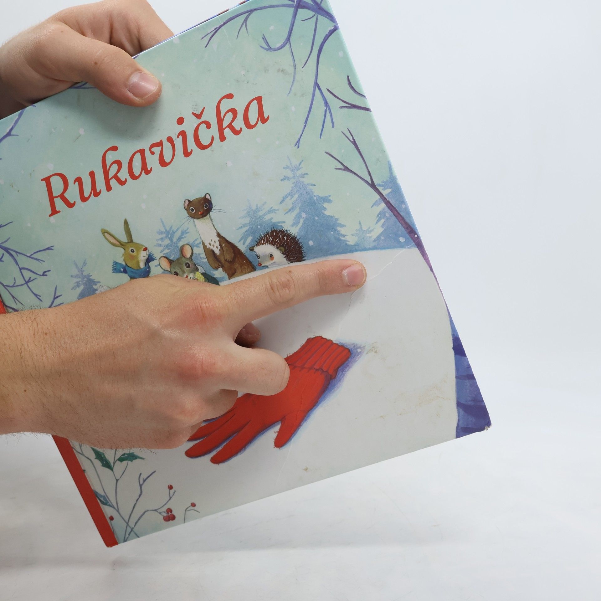 Véronique Cauchy Rukavička