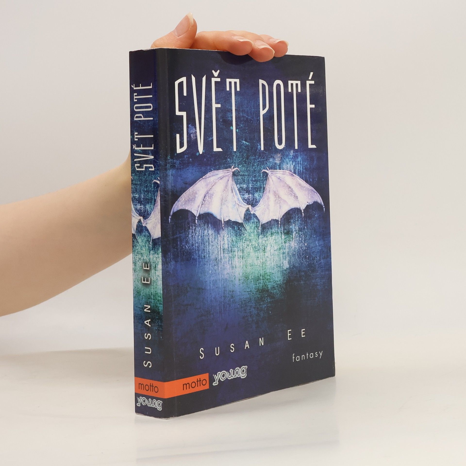 Susan Ee Svět poté