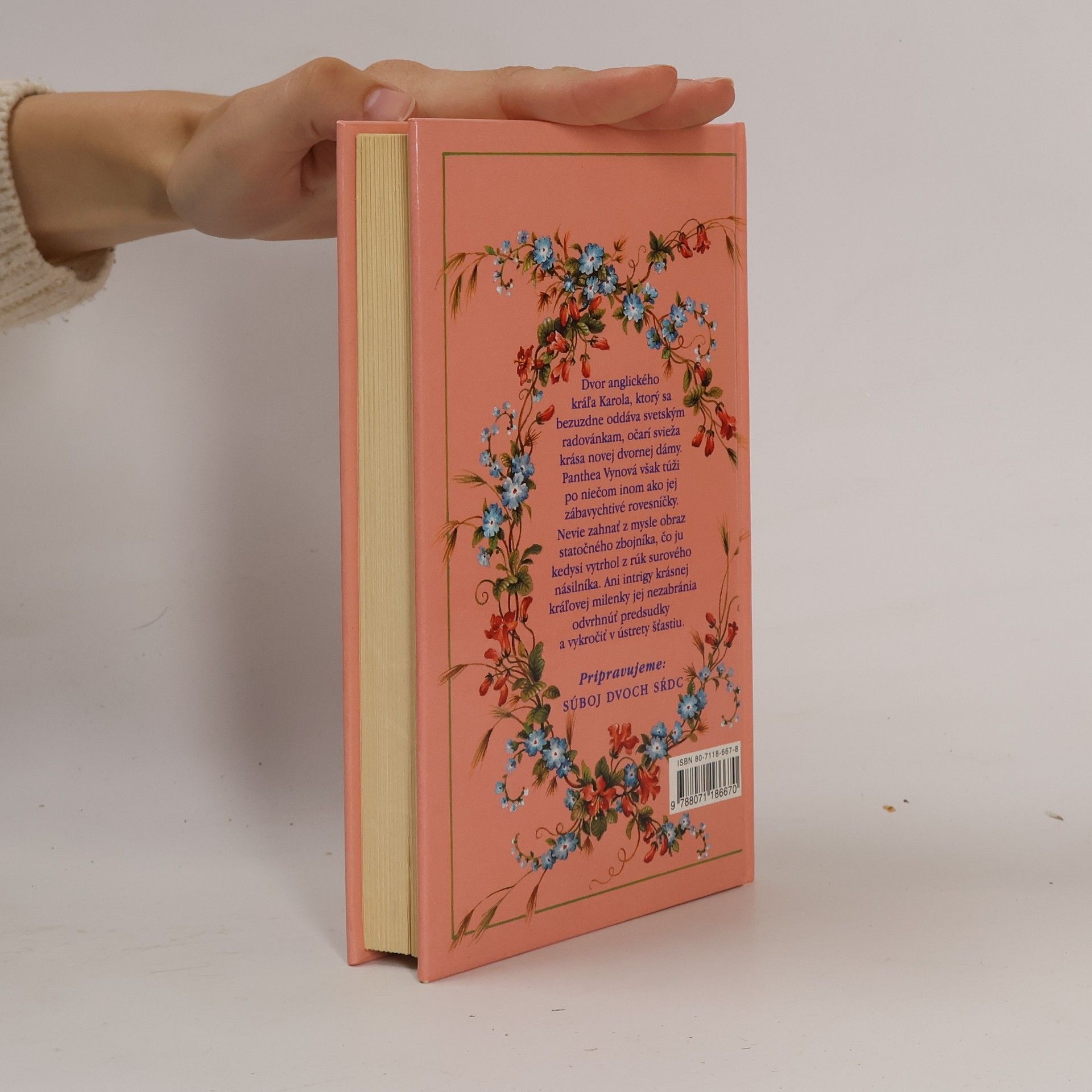 Barbara Cartland Dáma a zbojník