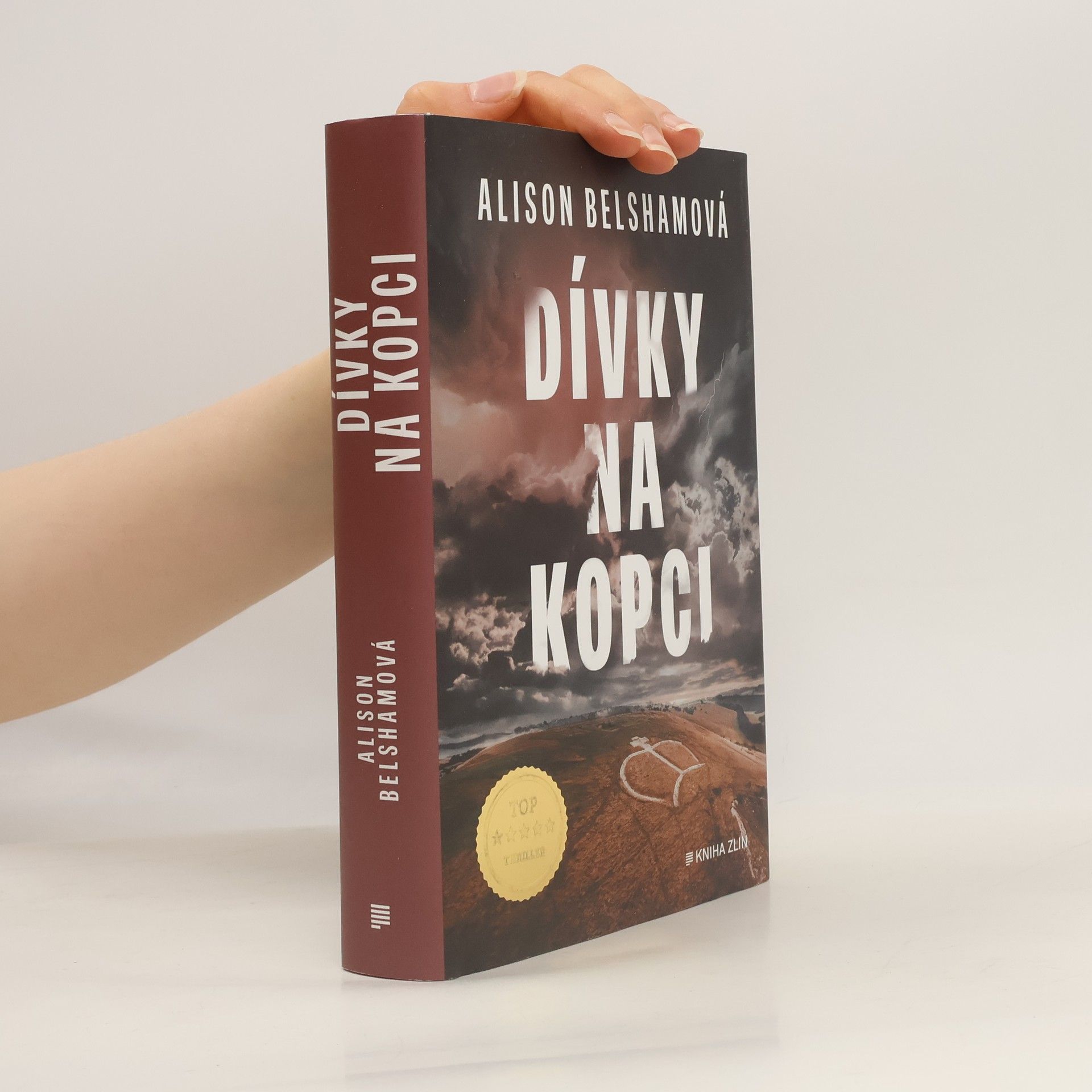 Alison Belsham Dívky na kopci