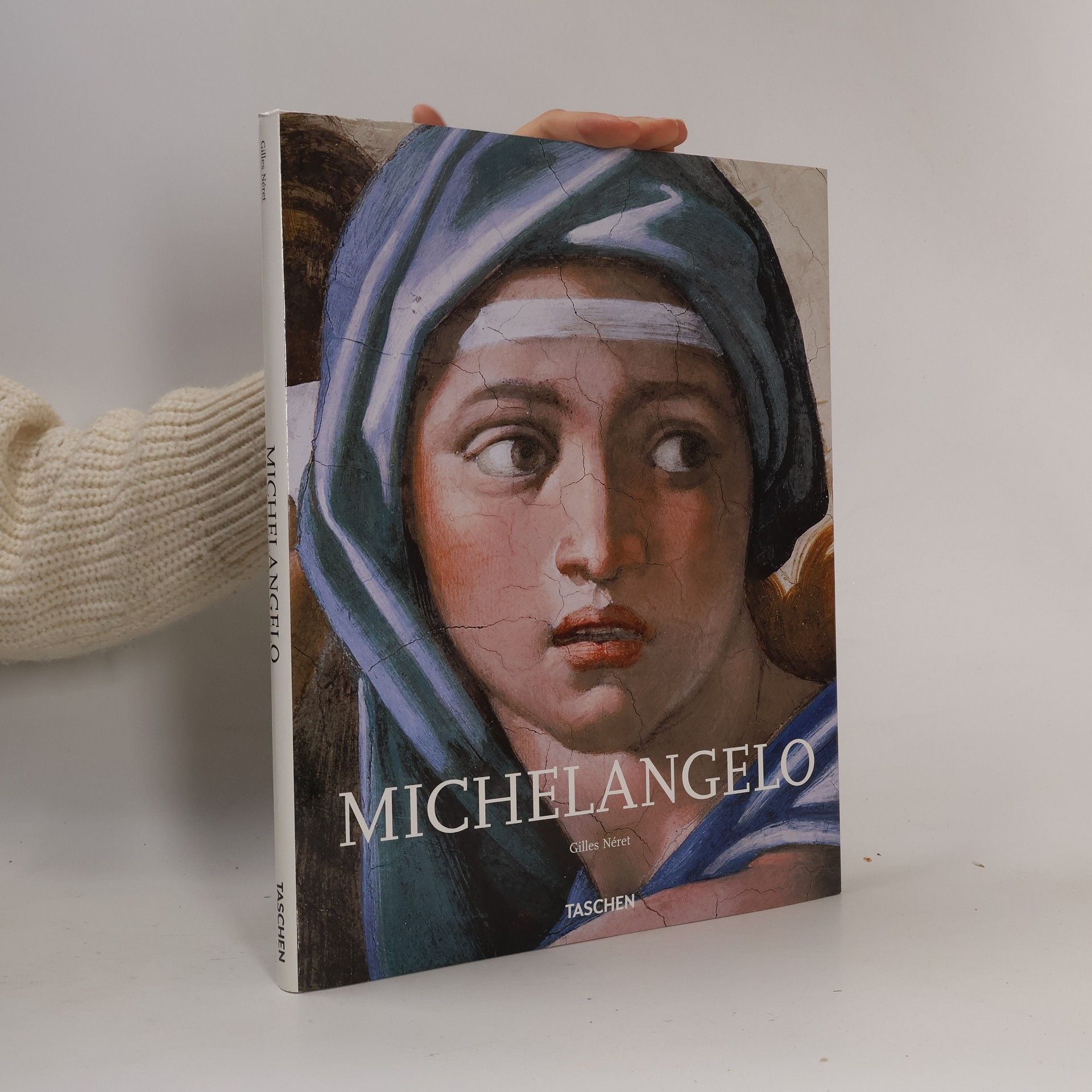 Gilles Néret Michelangelo