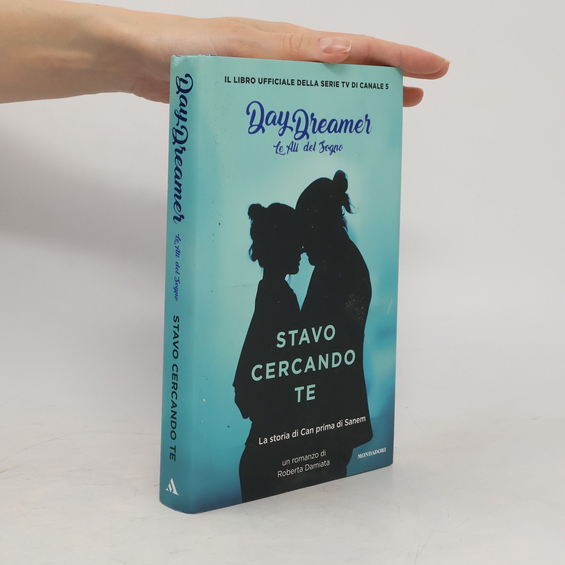 Roberta Damiata Stavo cercando te. La storia di Can prima di Sanem. Le ali del sogno. Daydreamer