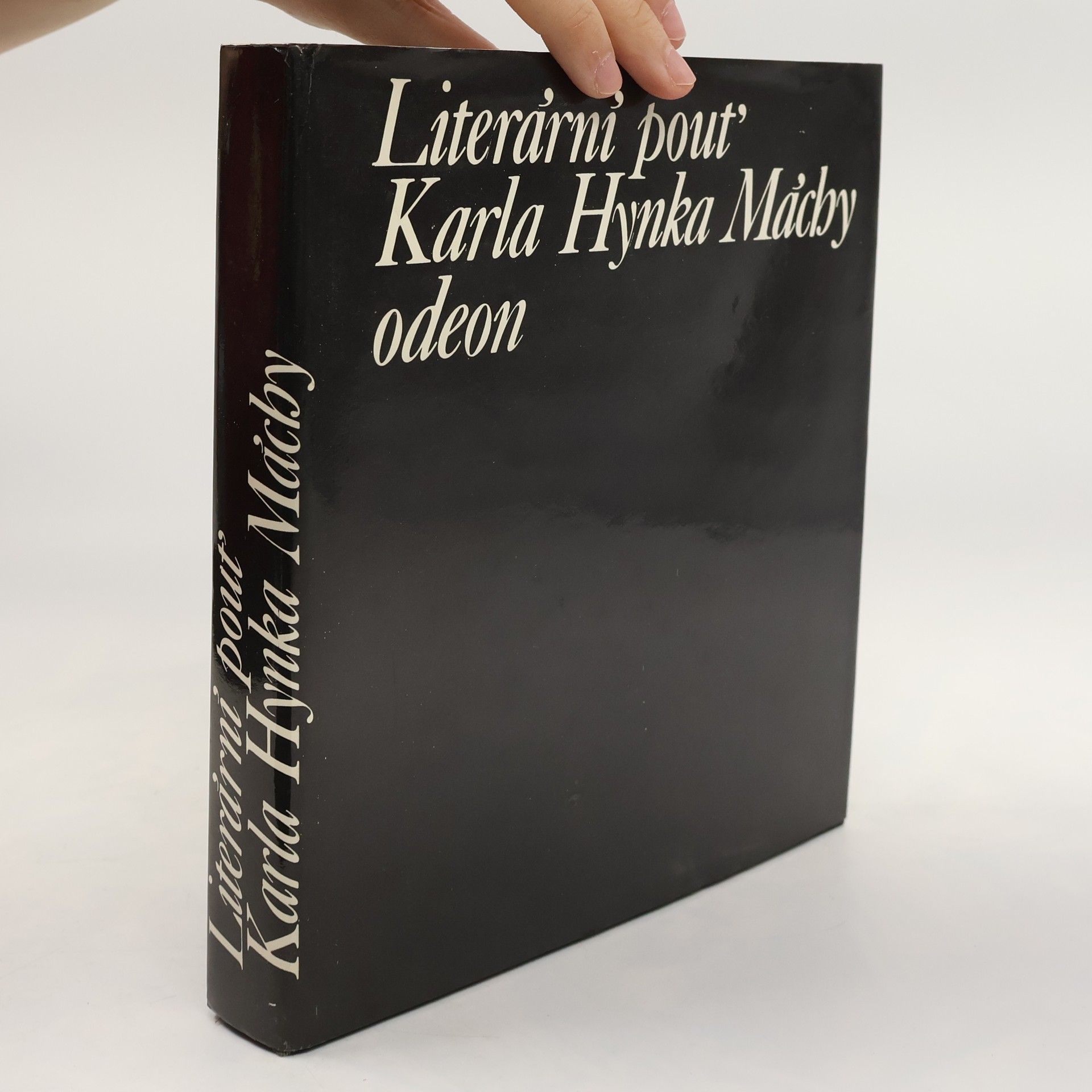 Literární pouť Karla Hynka Máchy : Ohlas Máchova díla v letech 1836-1858