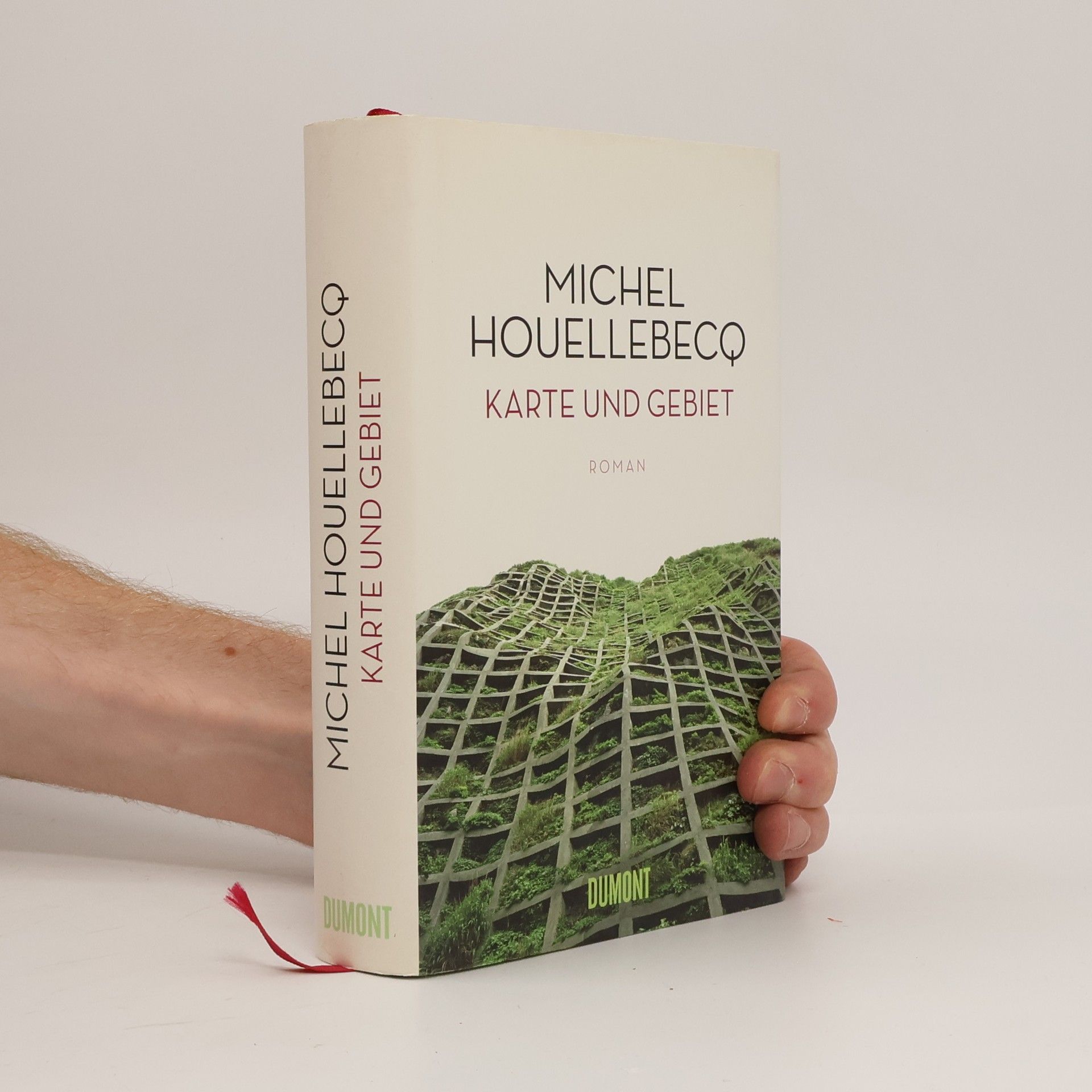 Michel Houellebecq Karte und Gebiet
