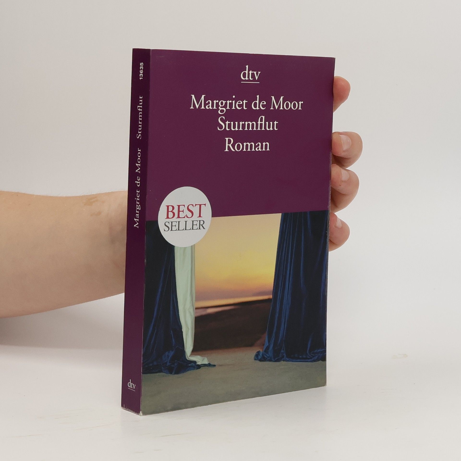 Margriet de Moor Sturmflut