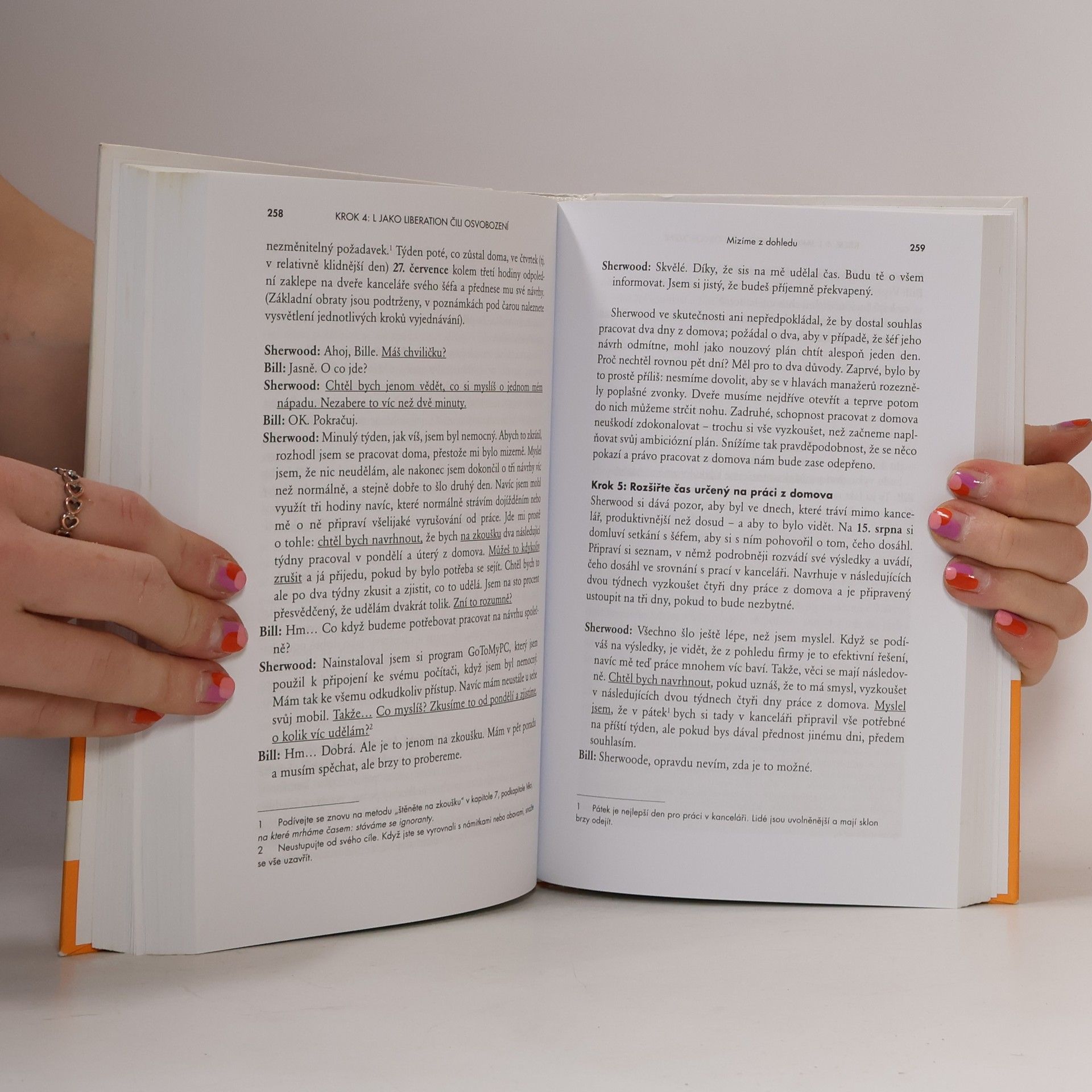 Timothy Ferriss Čtyřhodinový pracovní týden