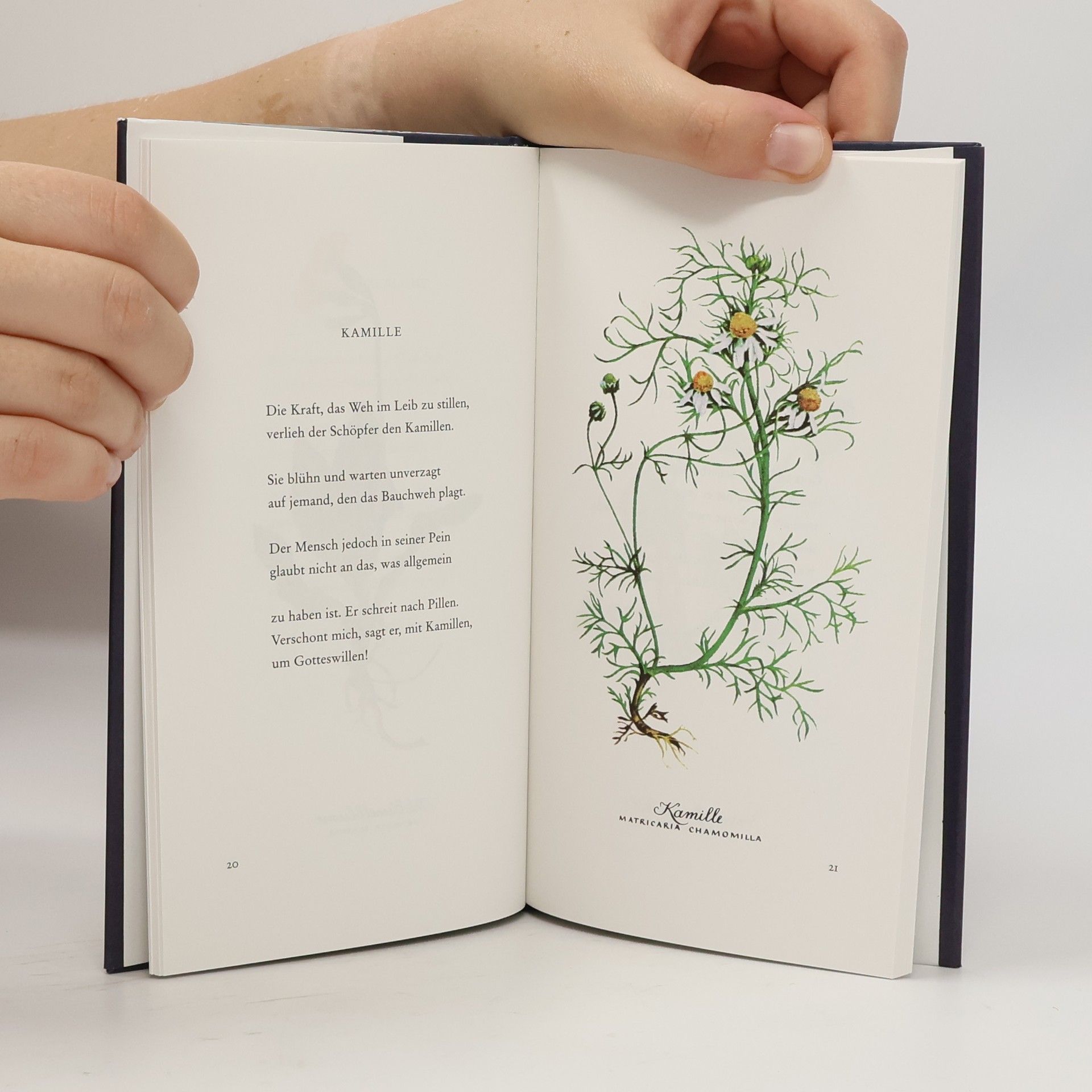 Karl Heinrich Waggerl Heiteres Herbarium