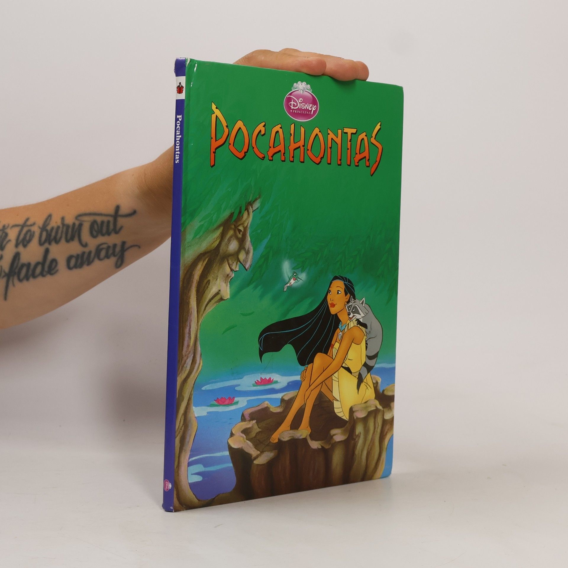 Kolektiv autorů Pocahontas