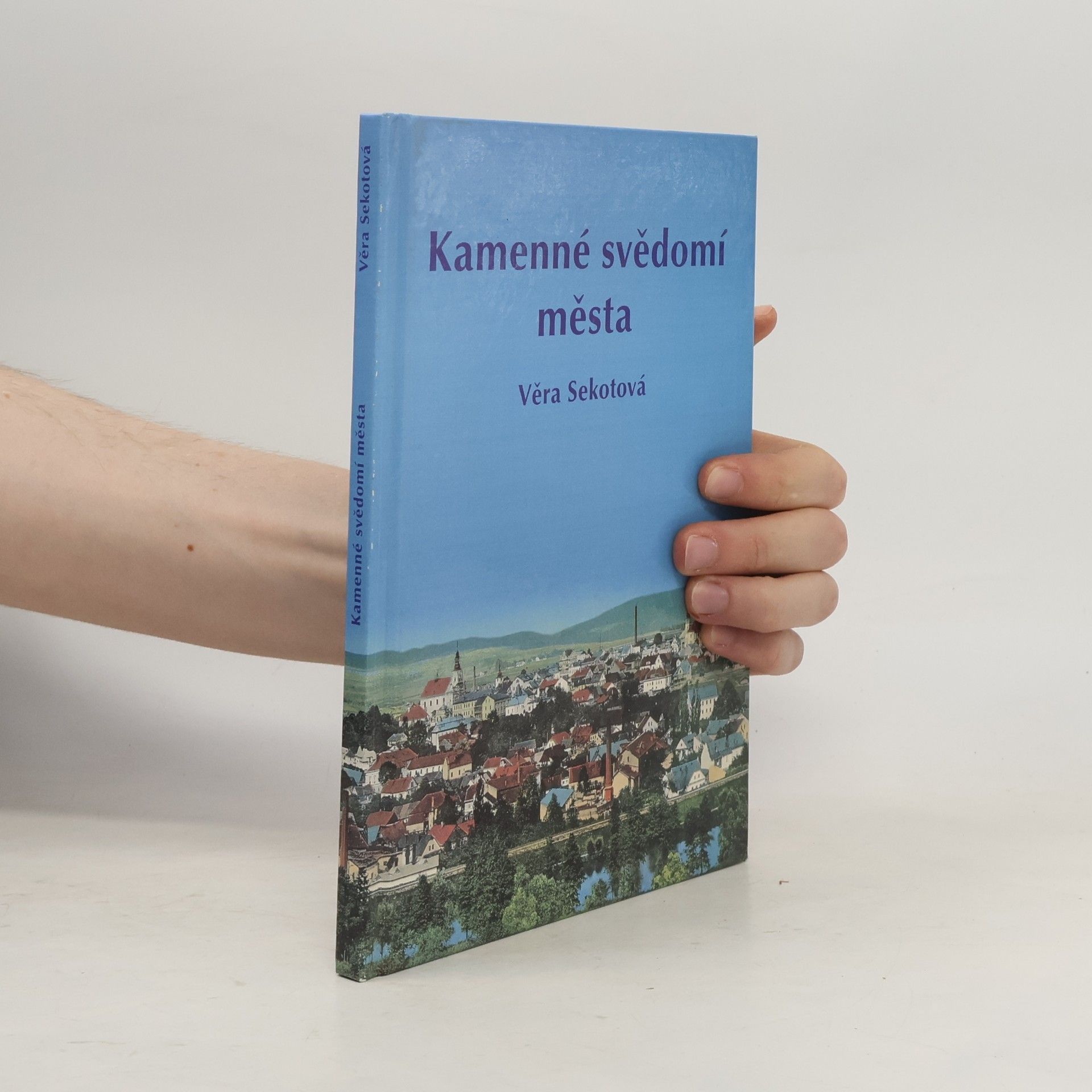 Kamenné svědomí města